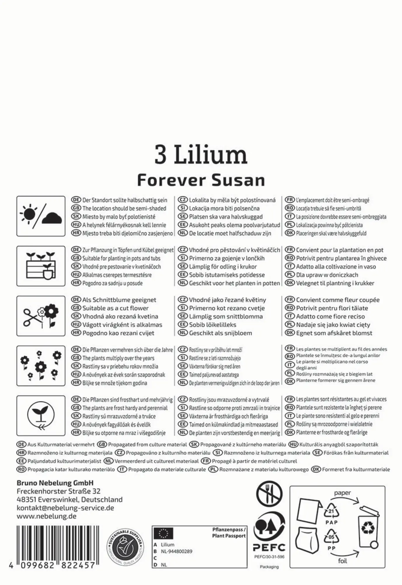 Kiepenkerl Frühjahrsblumenzwiebel Asiatische Lilie Forever Susan 3 Stück