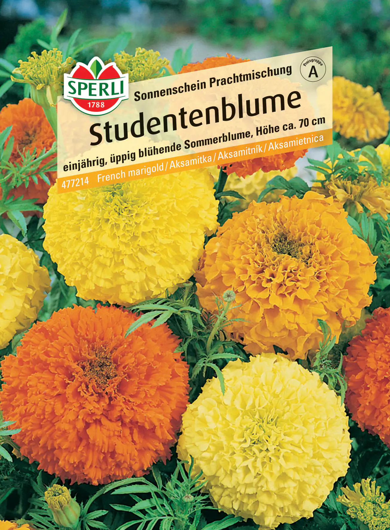 Sperli Studentenblume Sonnenschein Prachtmischung