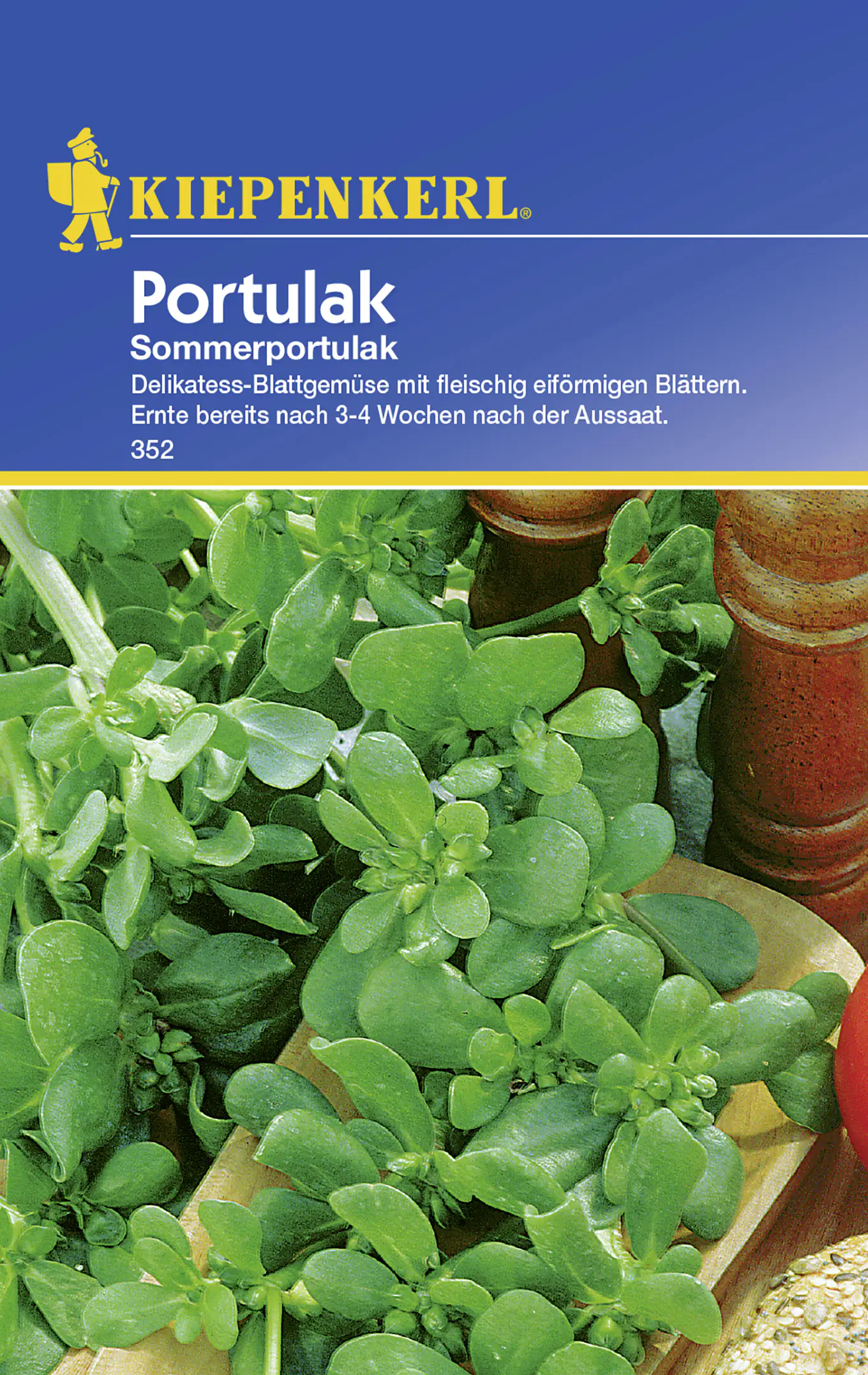 Kiepenkerl Portulak Sommerportulak Portulaca oleracea ssp. sativa, Inhalt: ca. 150 Pflanzen Kiepenkerl Portulak Sommerportulak Portulaca oleracea ssp. sativa, Inhalt: ca. 150 Pflanzen