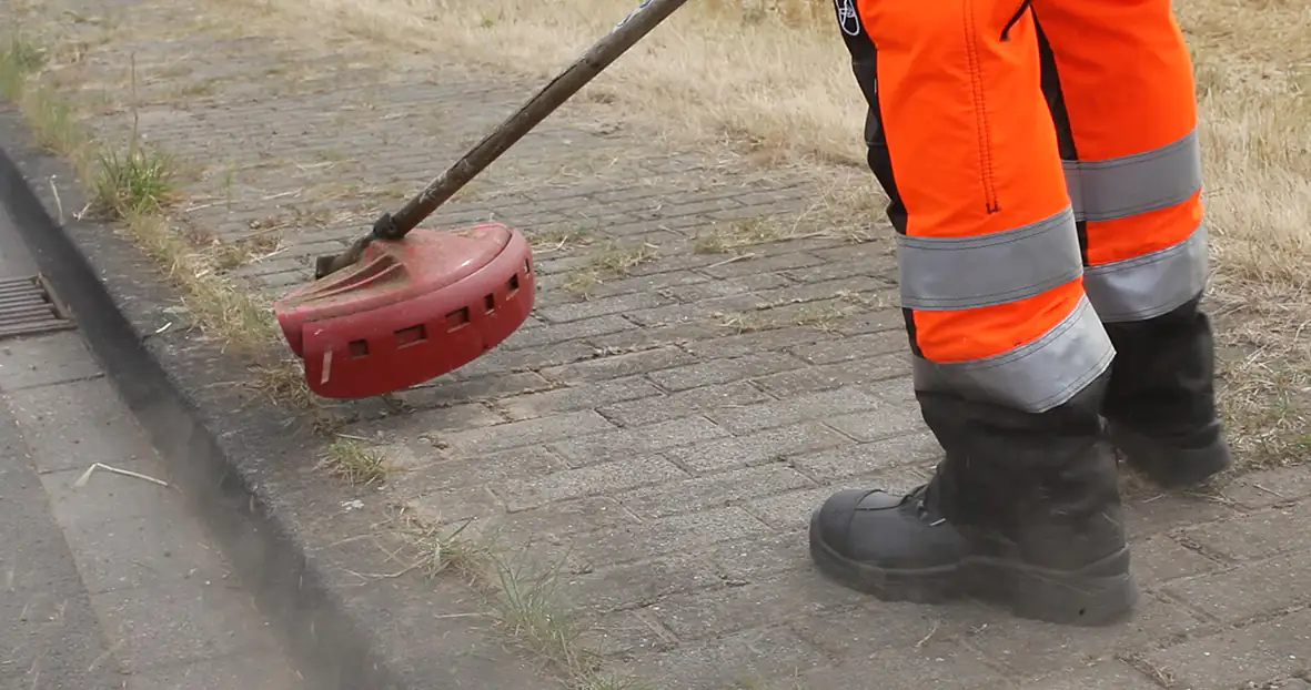 XerVex Wildkrautbürste