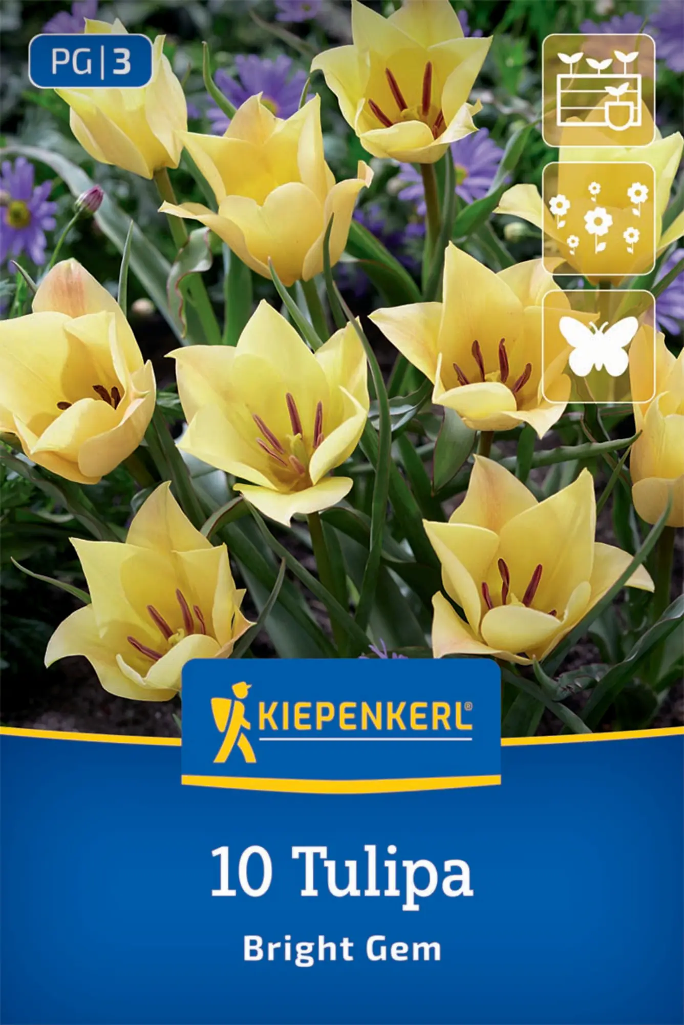 Kiepenkerl Herbstblumenzwiebel Tulpen Wild Bright Gem 10 Stück