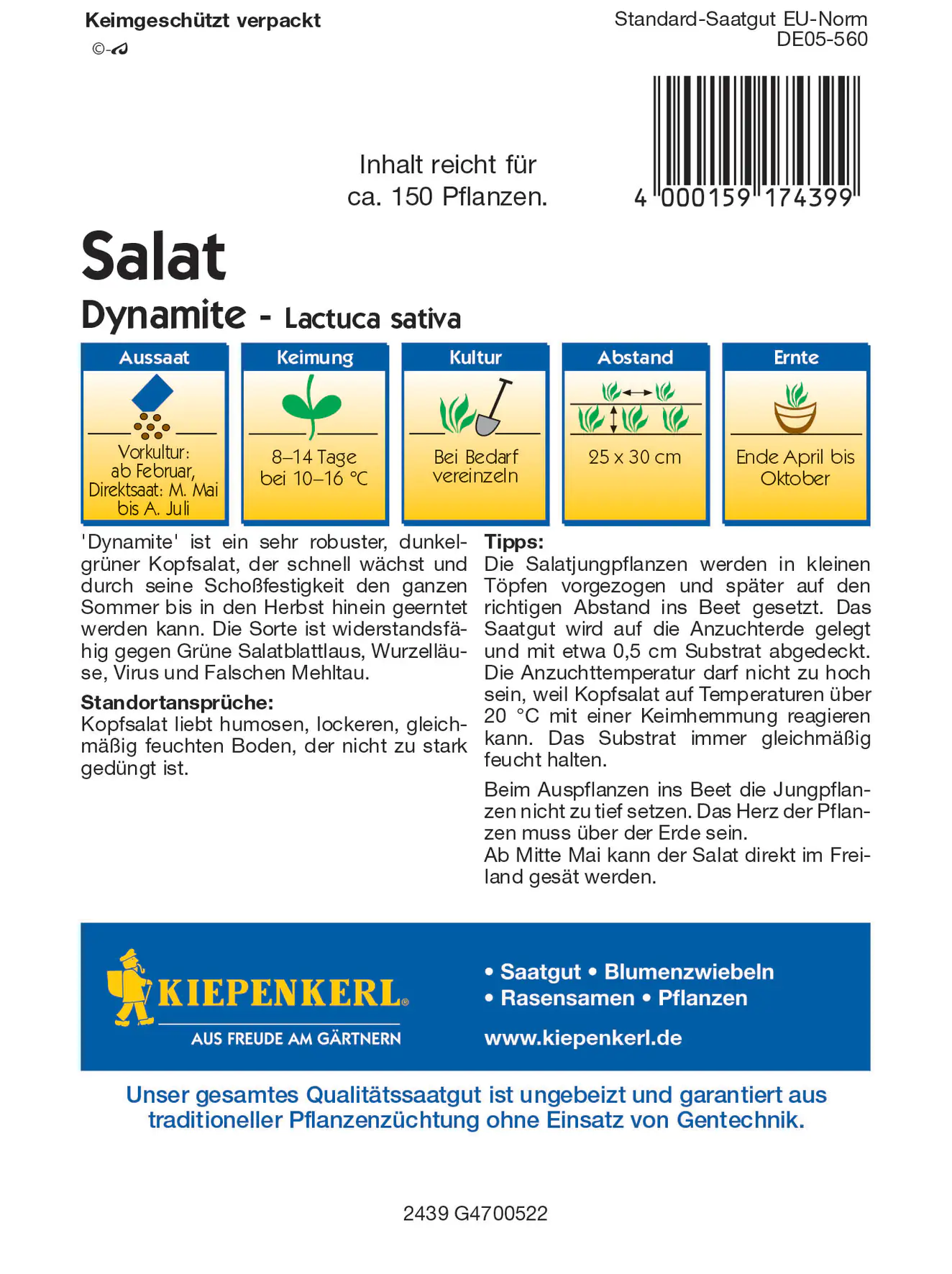 Kiepenkerl Kopfsalat Dynamite