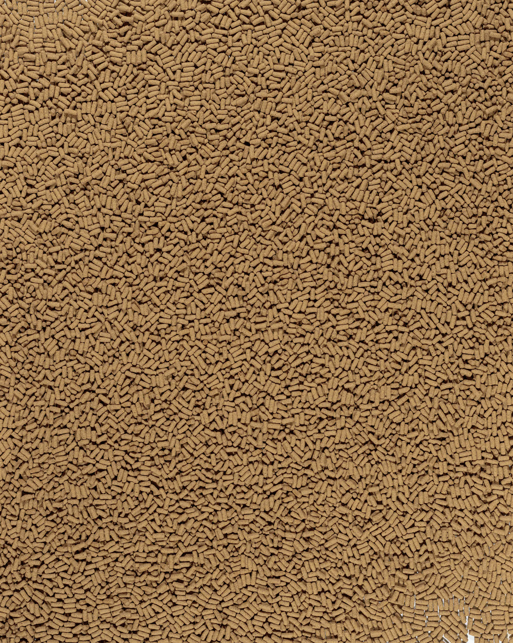 Tetra Pond Koi Sticks Colour & Growth 1 L