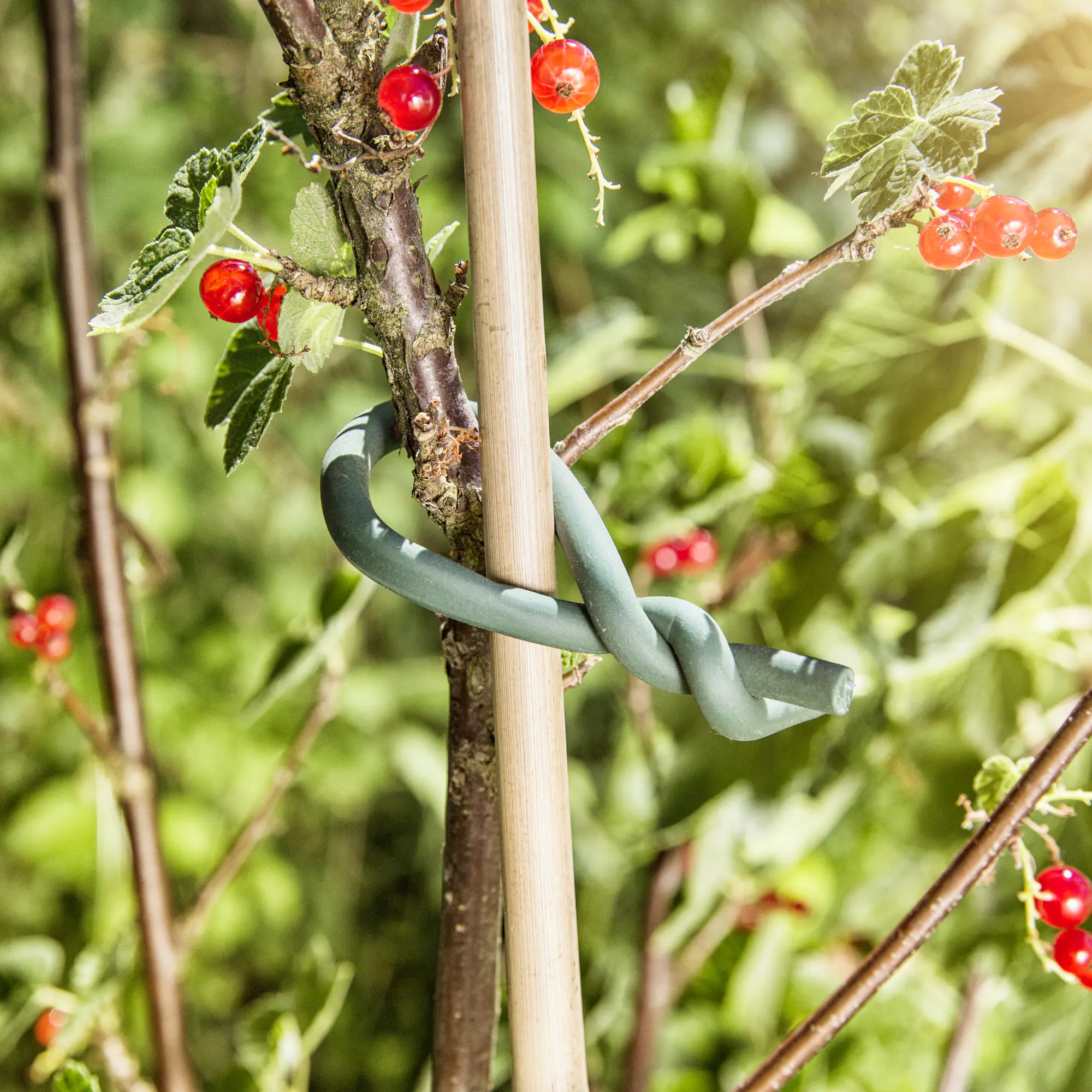 Windhager Gartendraht mit Gummimantel 5 m