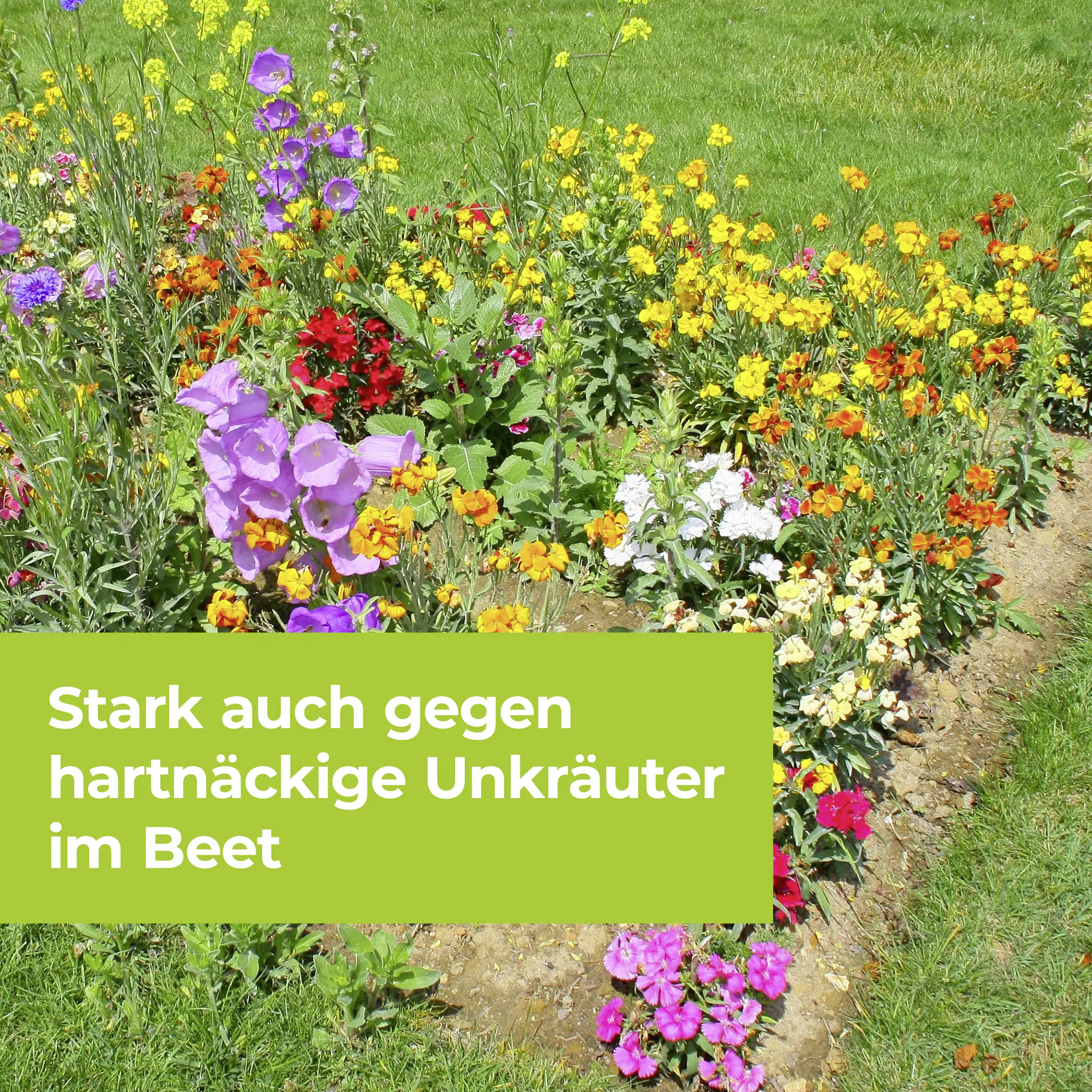 Protect Garden Permaclean Duo Unkraut & Wurzel-Ex 500 ml