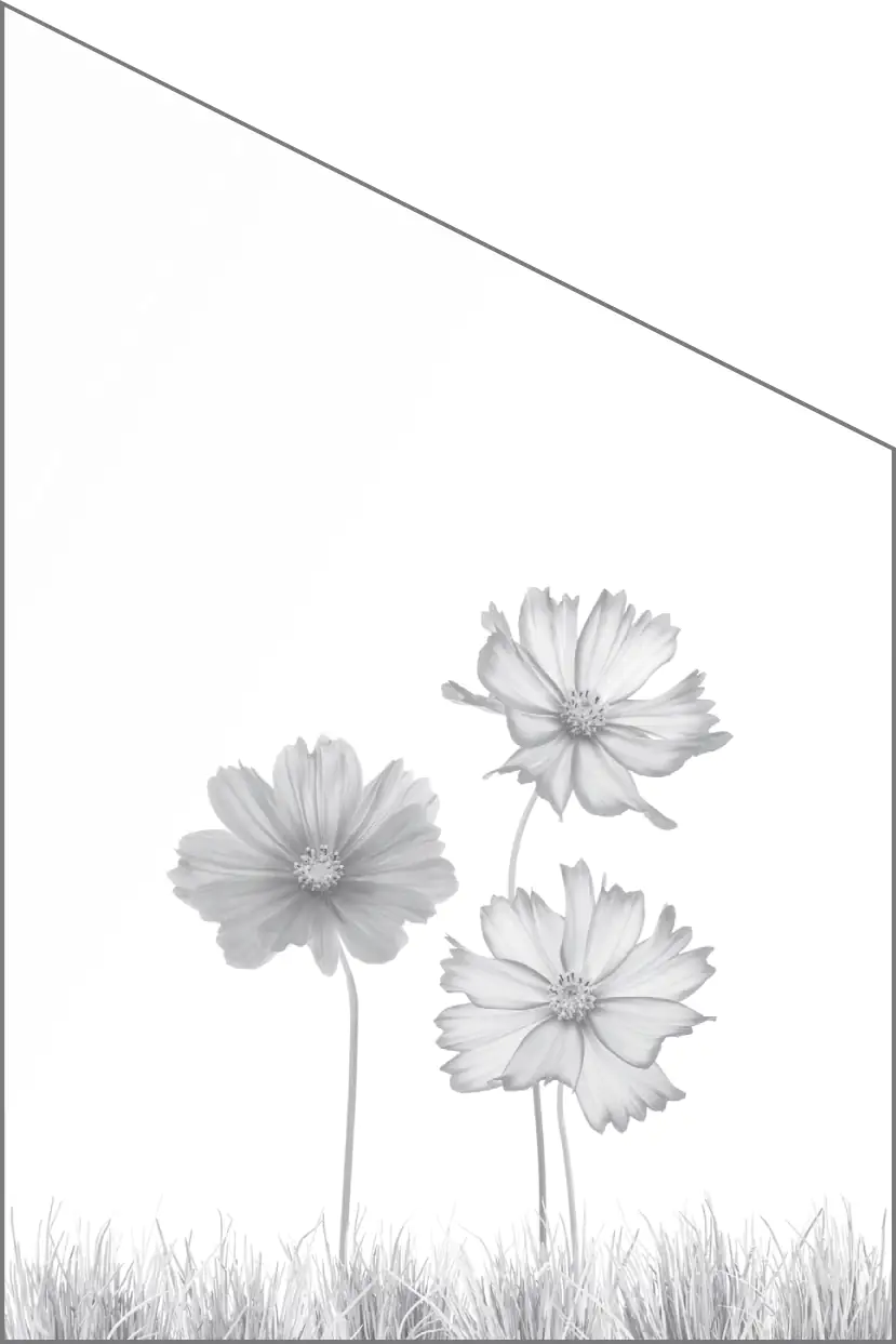 Ambiente Glaszaun Dekor 93 schräg 120 x 180/120 cm gehärtetes 8 mm Glas