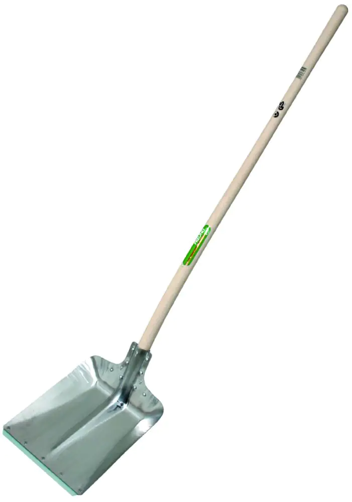 Freund Victoria Hallenser Flachrandschaufel silber