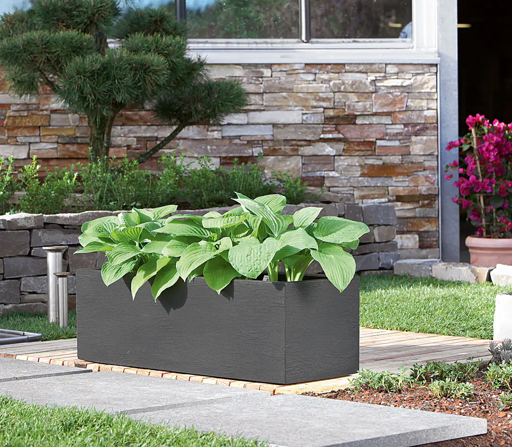 Geli Pflanztopf Kubus 80 x 30 x 27 cm anthrazit Geli Pflanztopf Kubus 80 x 30 x 27 cm anthrazit