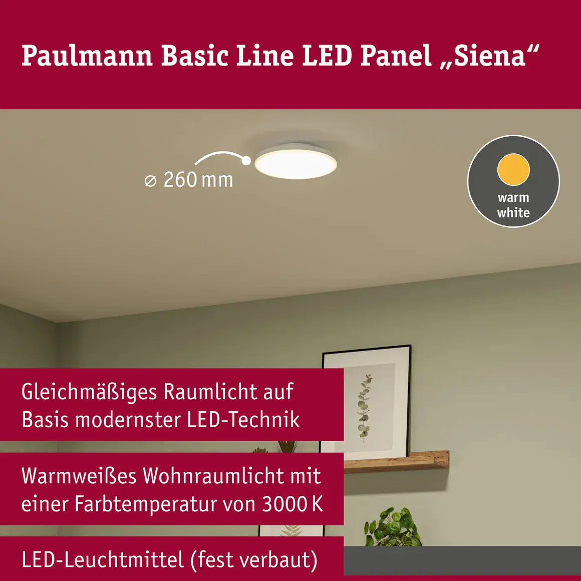 Paulmann LED Deckenleuchte Siena Ø 26 cm 18,8 W warmweiß