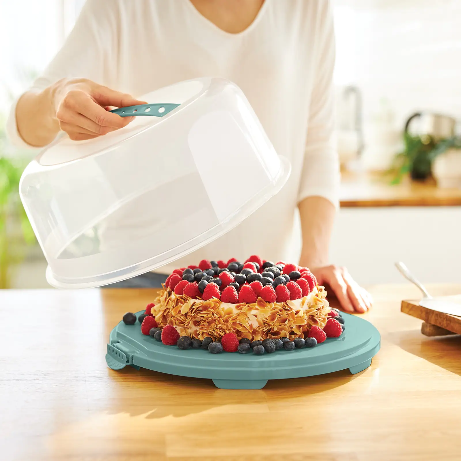 Rotho Tortenglocke Fresh hoch mistletoe grün