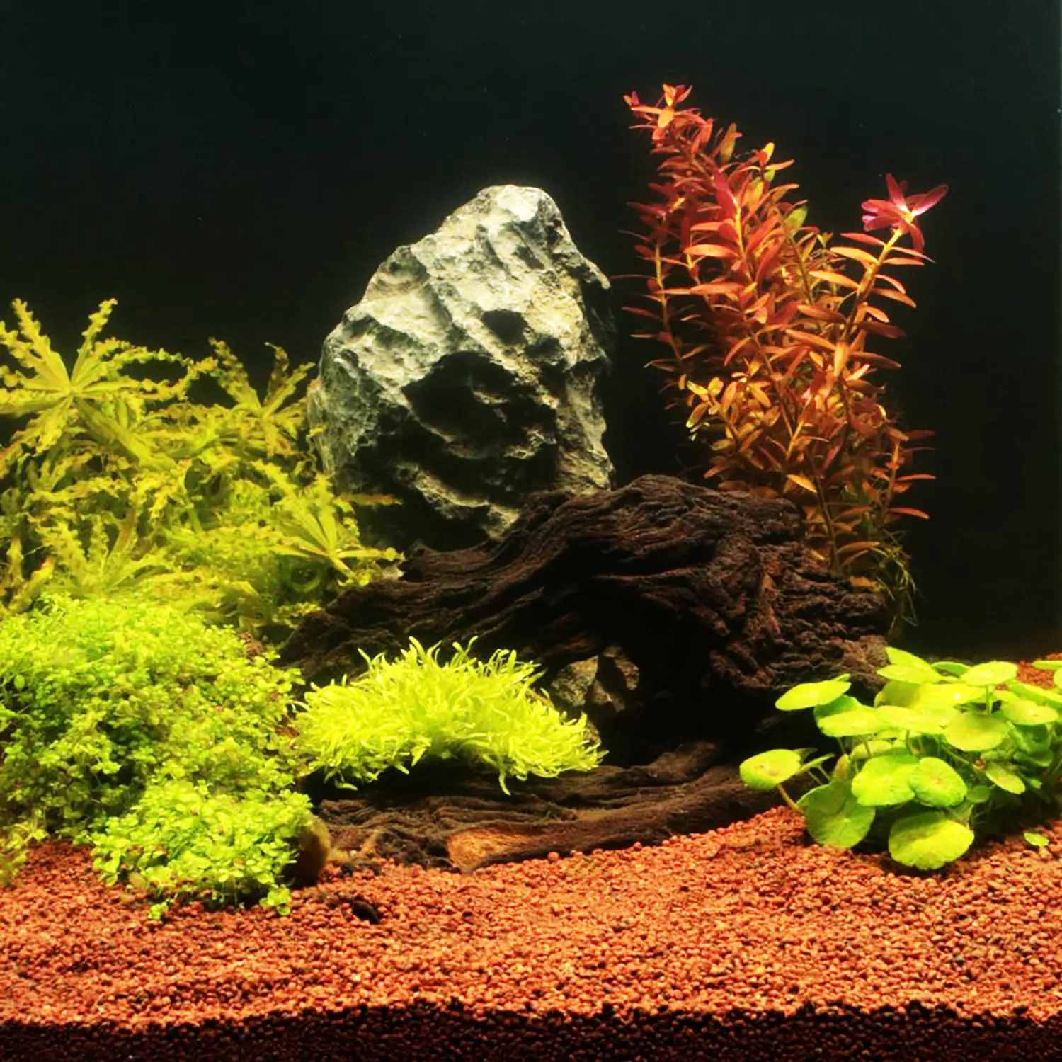 JBL Manado Naturbodengrund für Süßwasser Aquarien