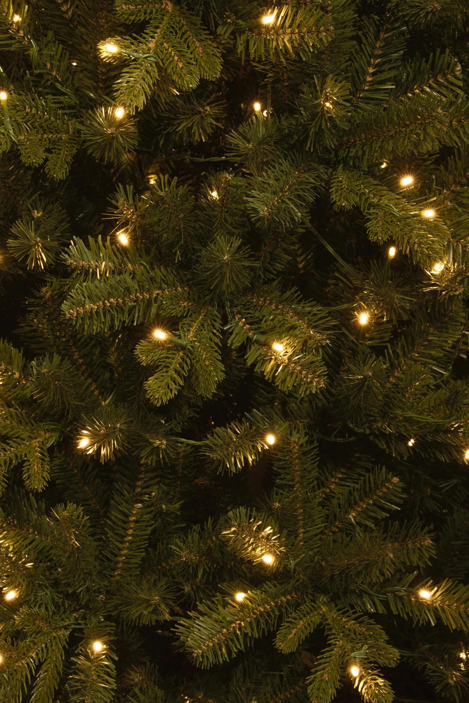 Black Box Trees Weihnachtsbaum Harma Pilar beleuchtet mit Timer 185 cm grün