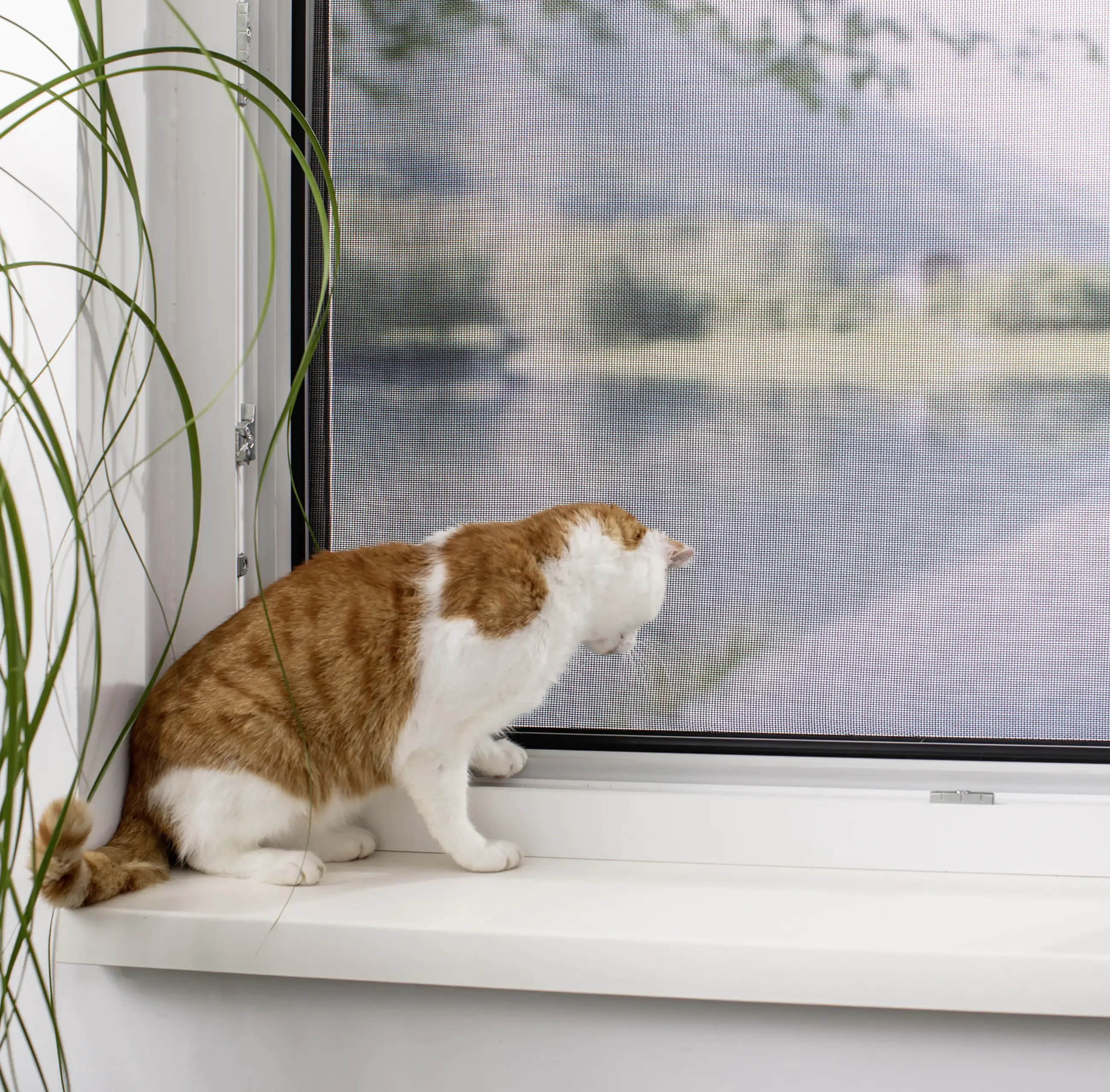 Primaster Pet-Protect Gewebe 120 x 150 cm schwarz