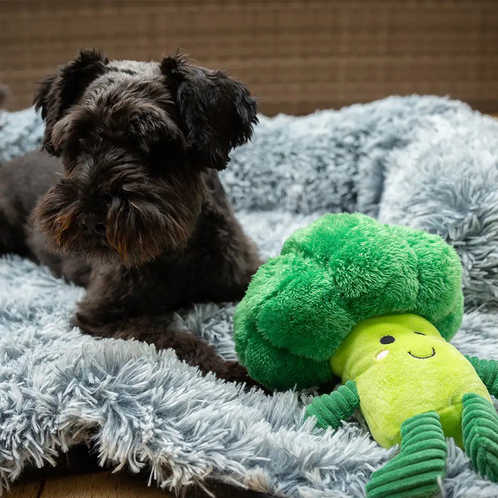 Nobby Hundespielzeug Plüsch Broccoli 25 cm