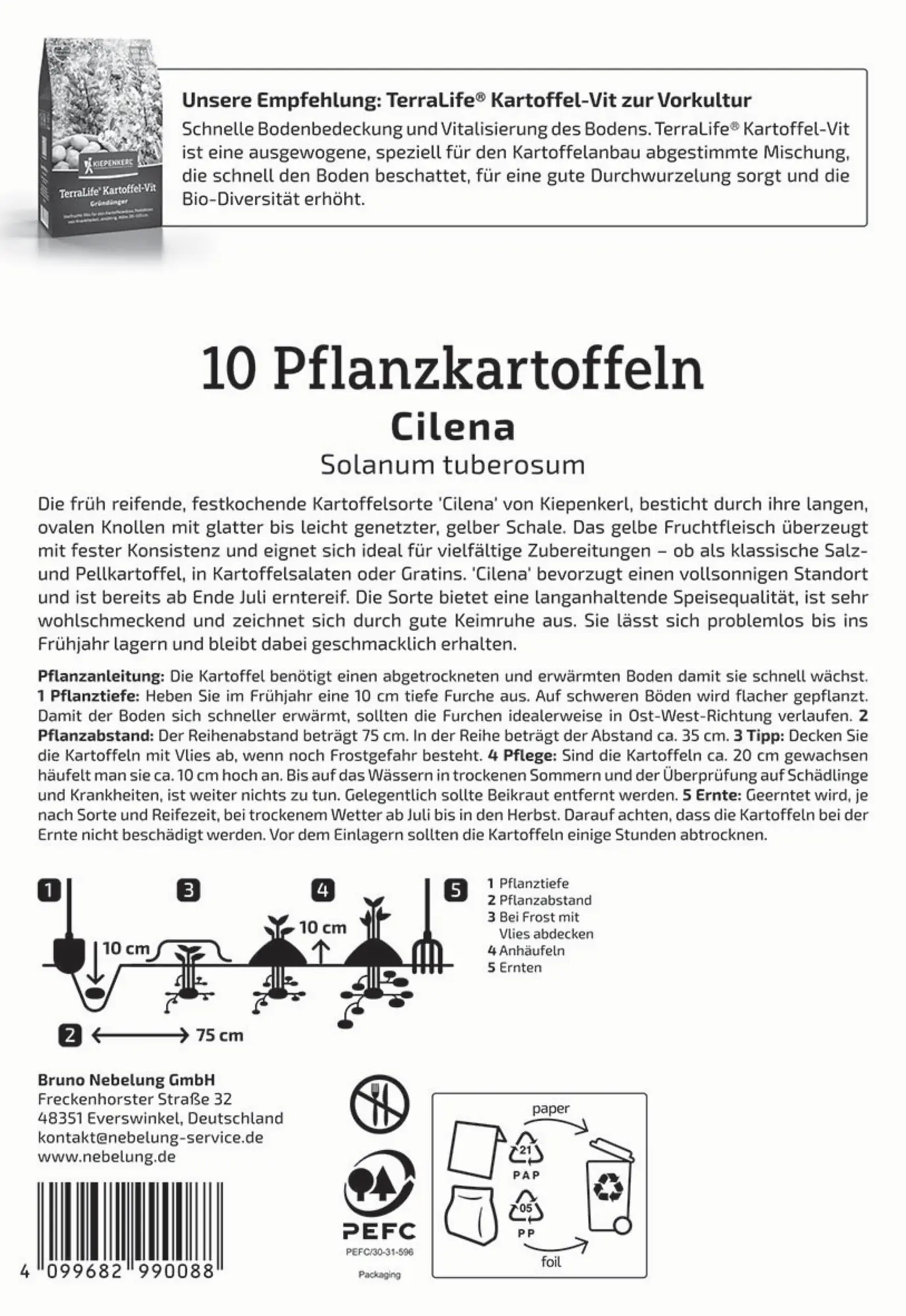 Kiepenkerl Pflanzkartoffel Cilena 10 Stück