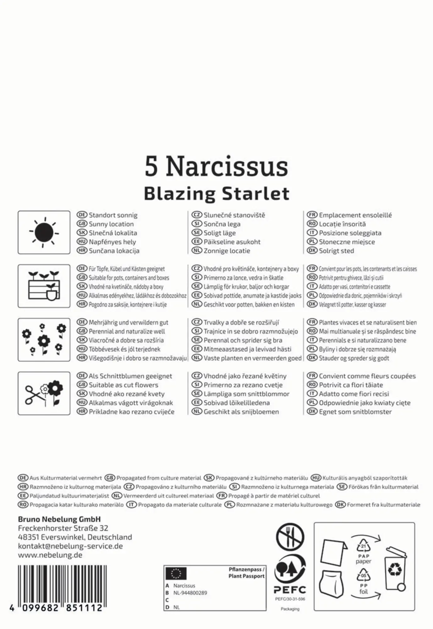 Kiepenkerl Herbstblumenzwiebel Profi-Line Schmetterlings-Narzisse Blazing Starlet 5 Stück