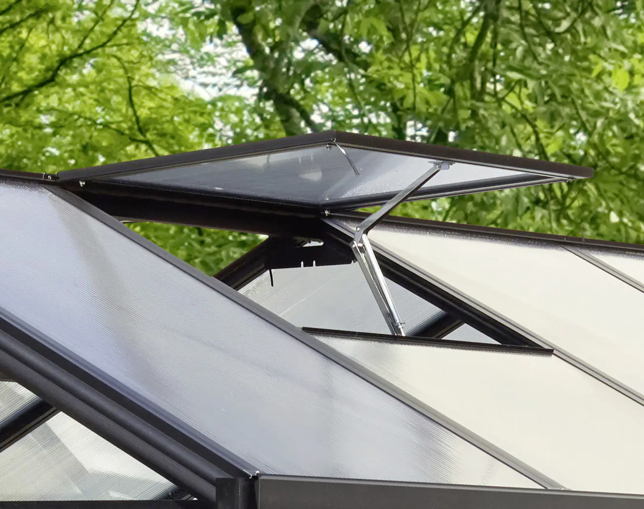 Vitavia Alu-Dachfenster zu Gewächshaus Zeus Poseidon schwarz