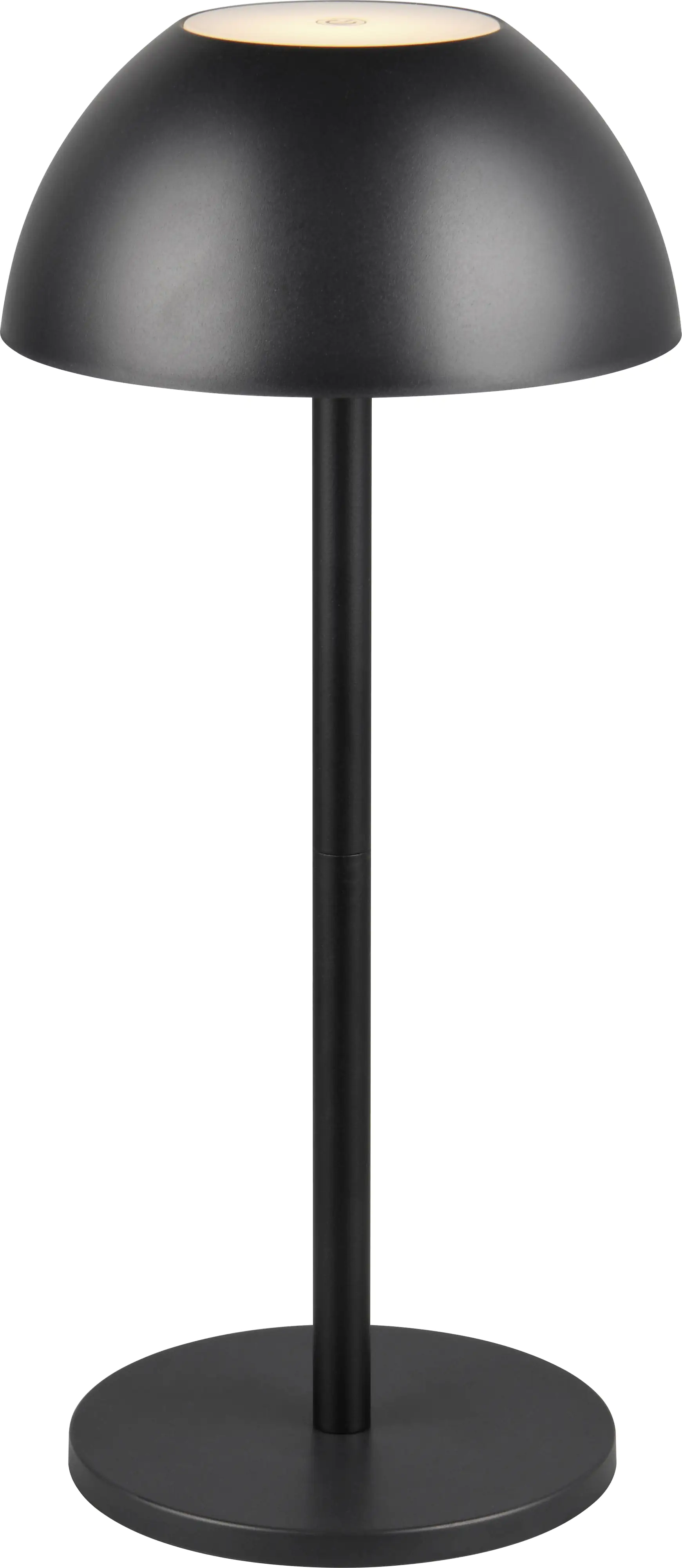 Reality Leuchten LED Akku-Tischleuchte Ricardo schwarz 30 cm warmweiß Reality Leuchten LED Akku-Tischleuchte Ricardo schwarz 30 cm warmweiß