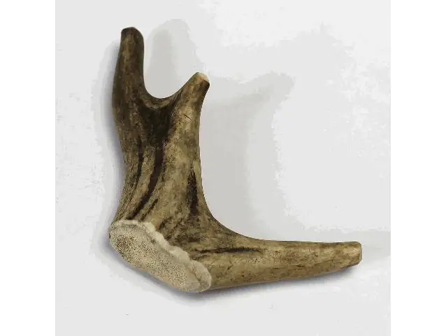 Larsson Geweih Full-Chew XS