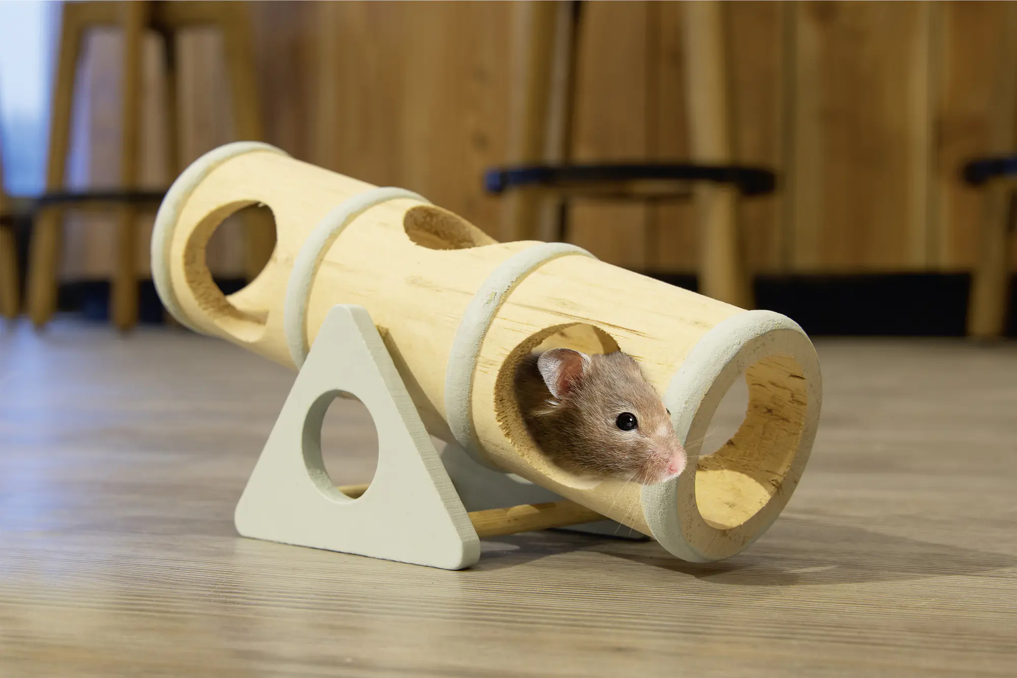 Beeztees Nager Spielzeug Clovis Holz 