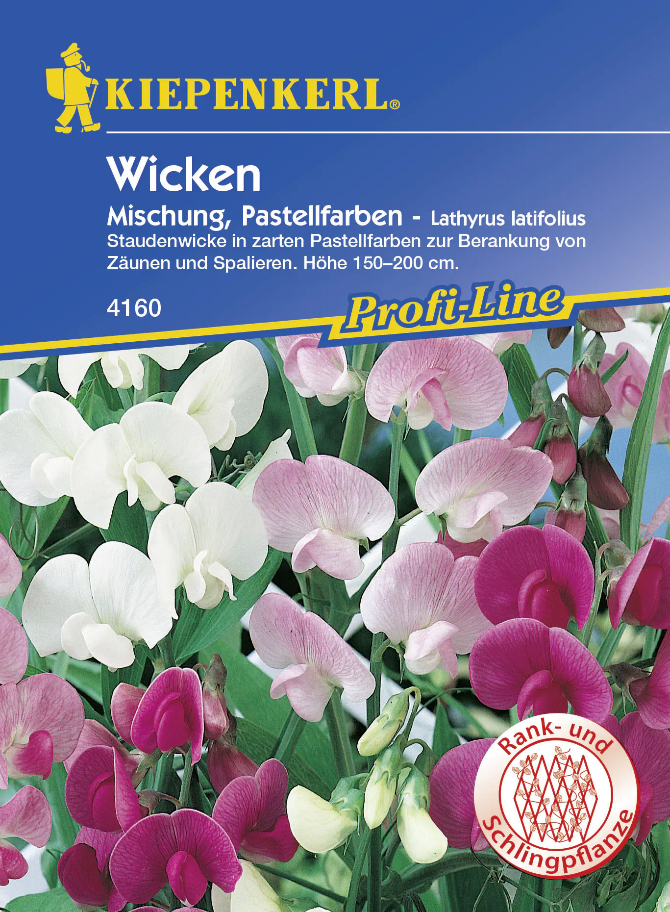Kiepenkerl Staudenwicke Pastellfarben Mischung Lathyrus latifolius, Inhalt: ca. 15 Pflanzen