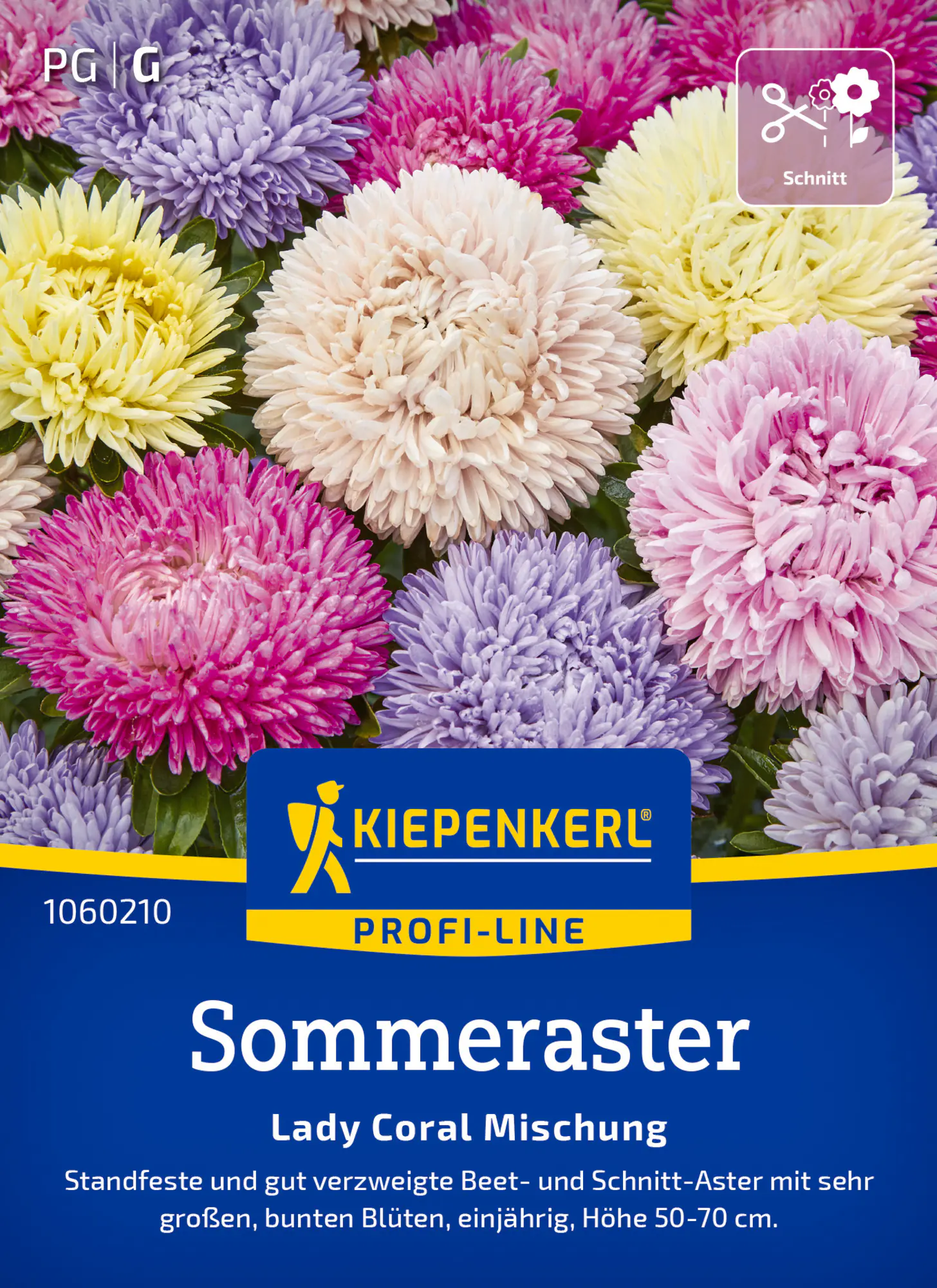 Kiepenkerl Profi-Line Blumensamen Sommeraster Lady Carol Mischung für ca. 50 Pflanzen