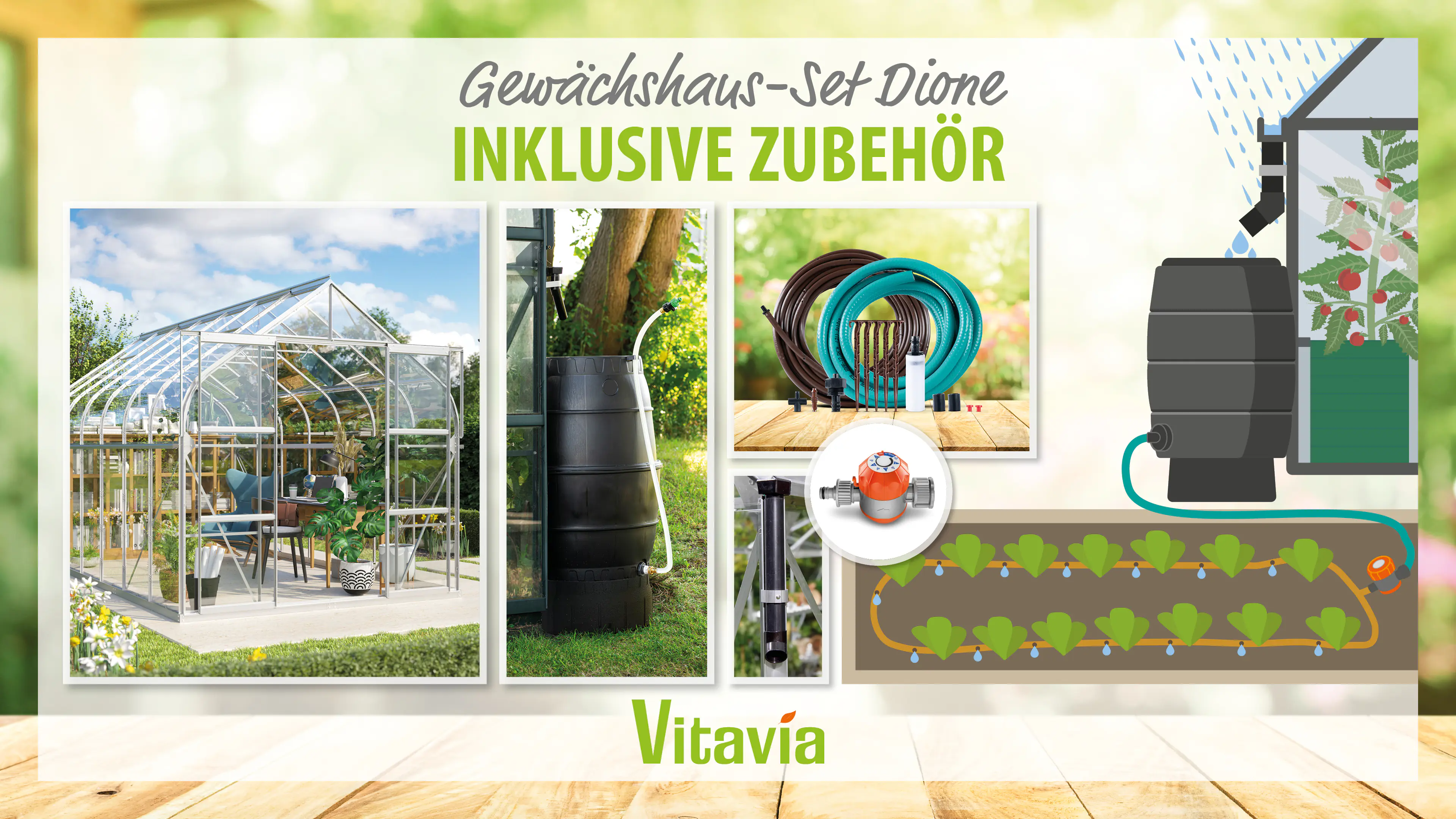 Vitavia Gewächshaus-Set-Set Dione 11500 ESG 3 mm alu 254 x 441 cm