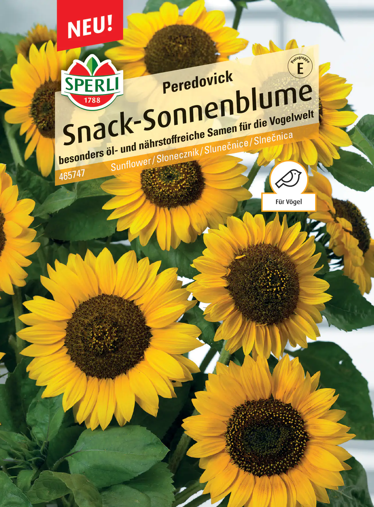 Sperli Snack-Sonnenblume Peredovick
