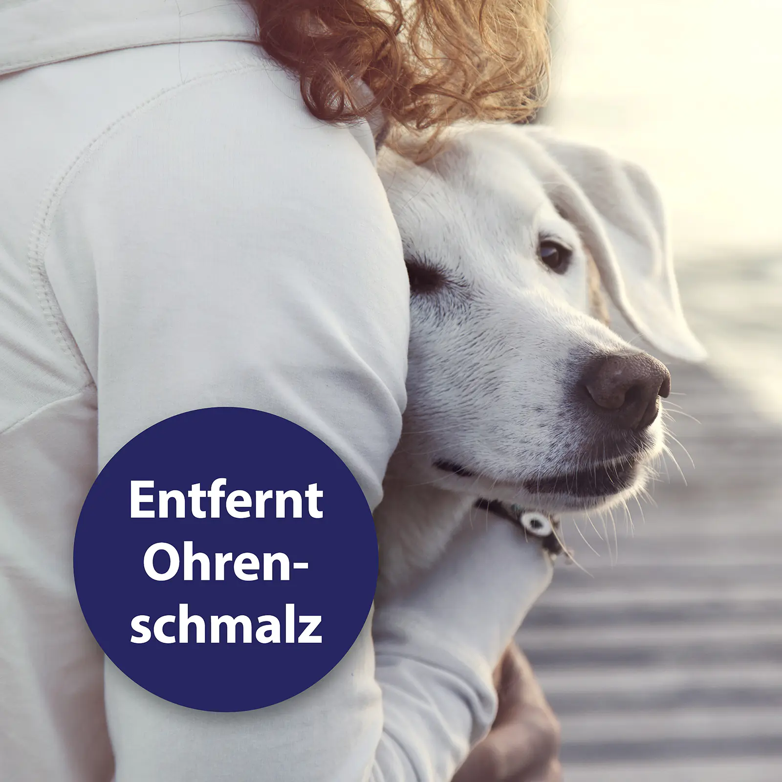 Canosept Ohrpflege Fingerpads für Hunde 50 Stück Canosept Ohrpflege Fingerpads für Hunde 50 Stück