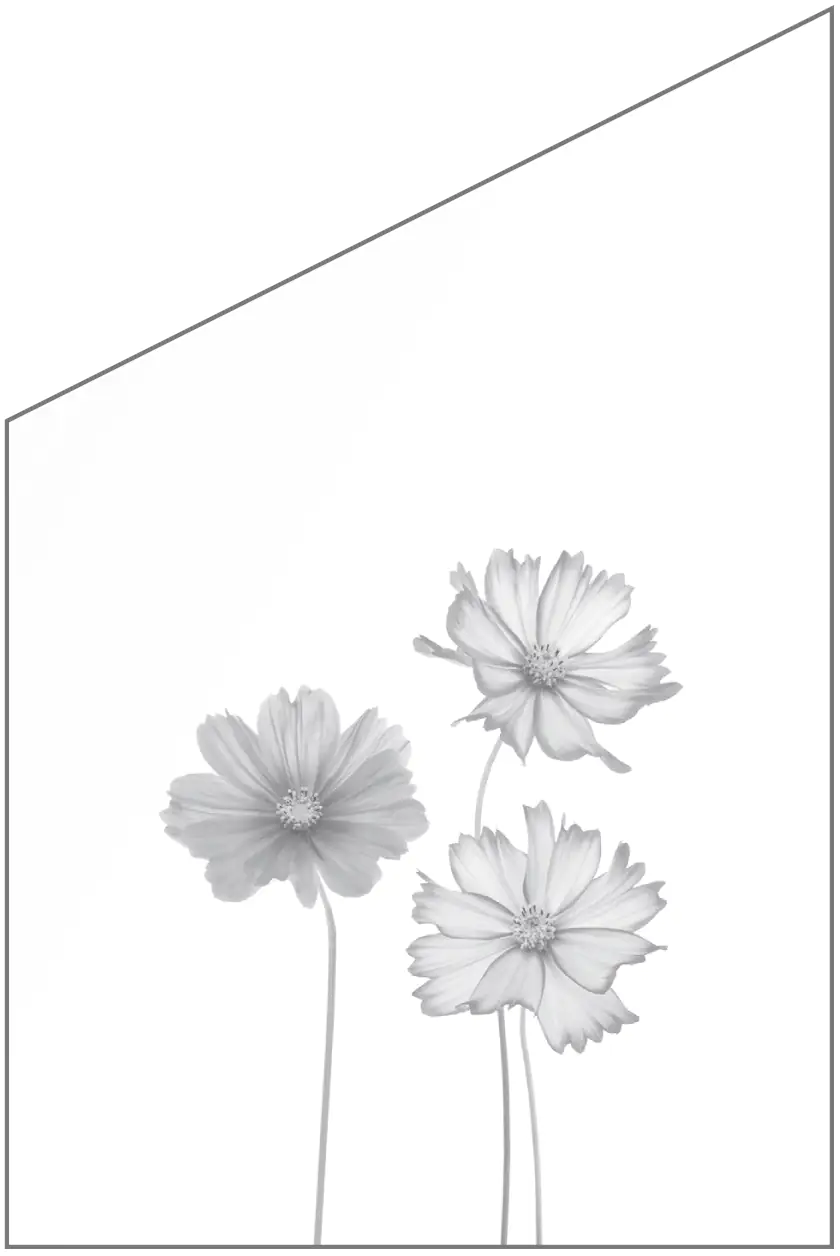 Ambiente Glaszaun Dekor 93 schräg 120 x 120/180 cm gehärtetes 8 mm Glas