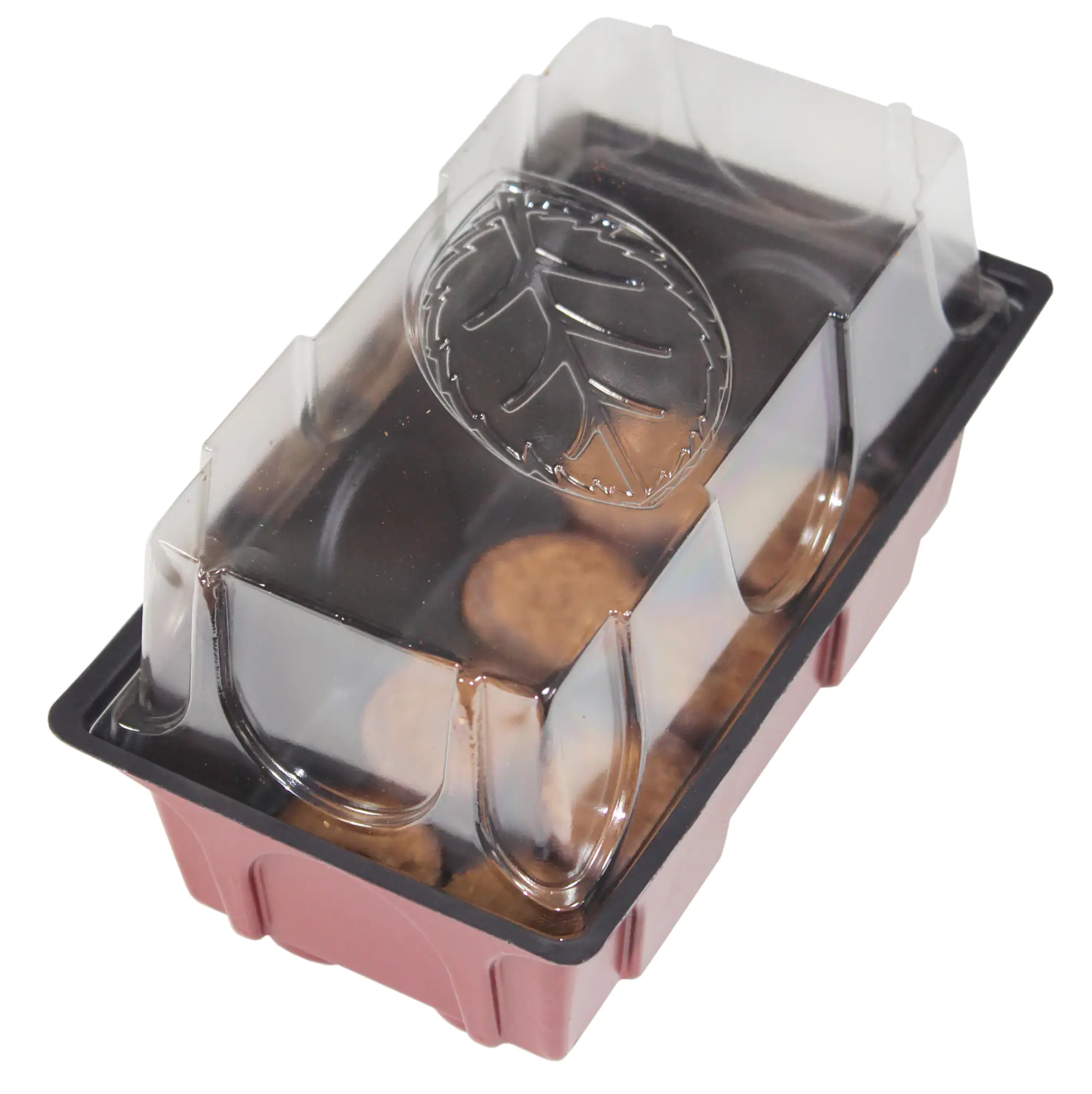 9003117068421_2 Windhager Anzucht-Gewächshaus19 x 11 x 11 cm + 8 Quelltabs