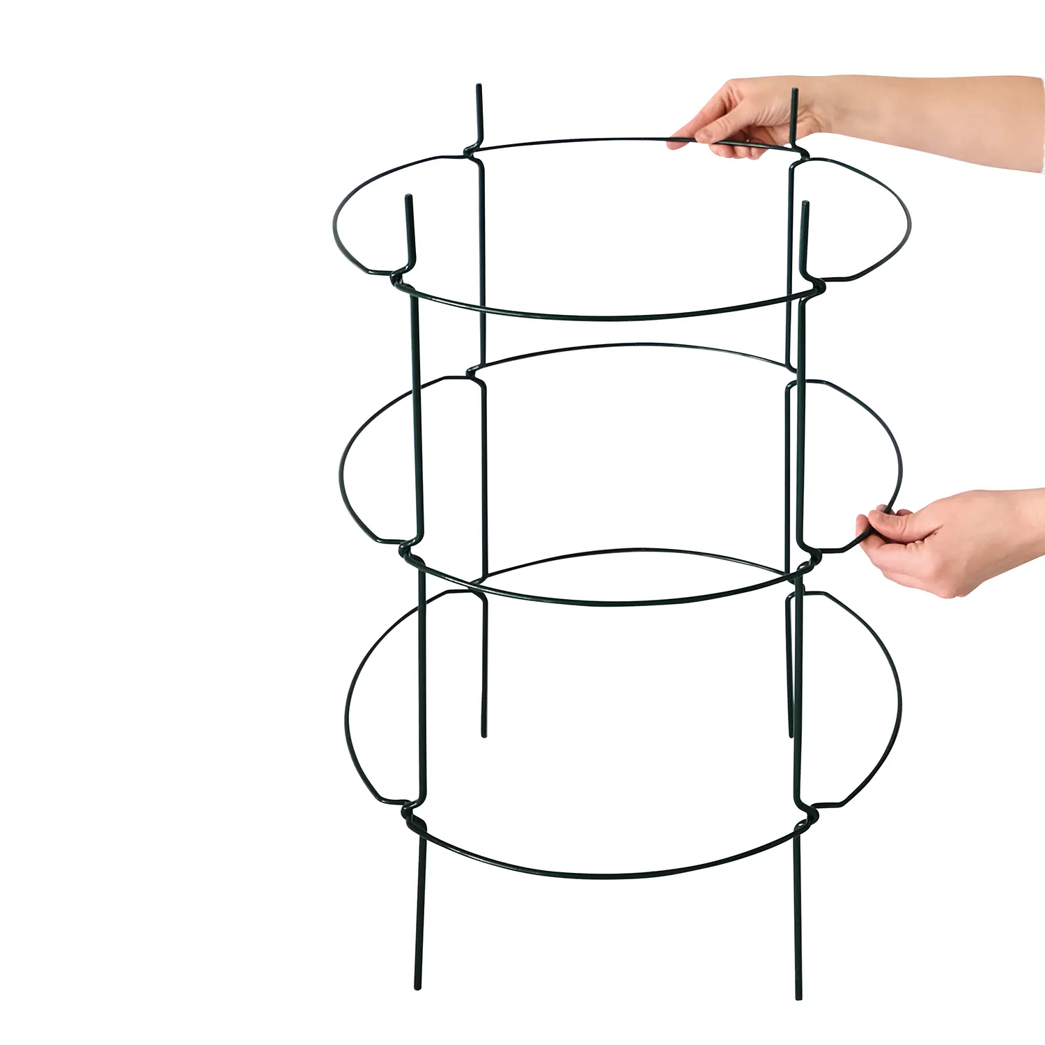 Bellissa Staudenstütze Falter 78 x 43,5 cm