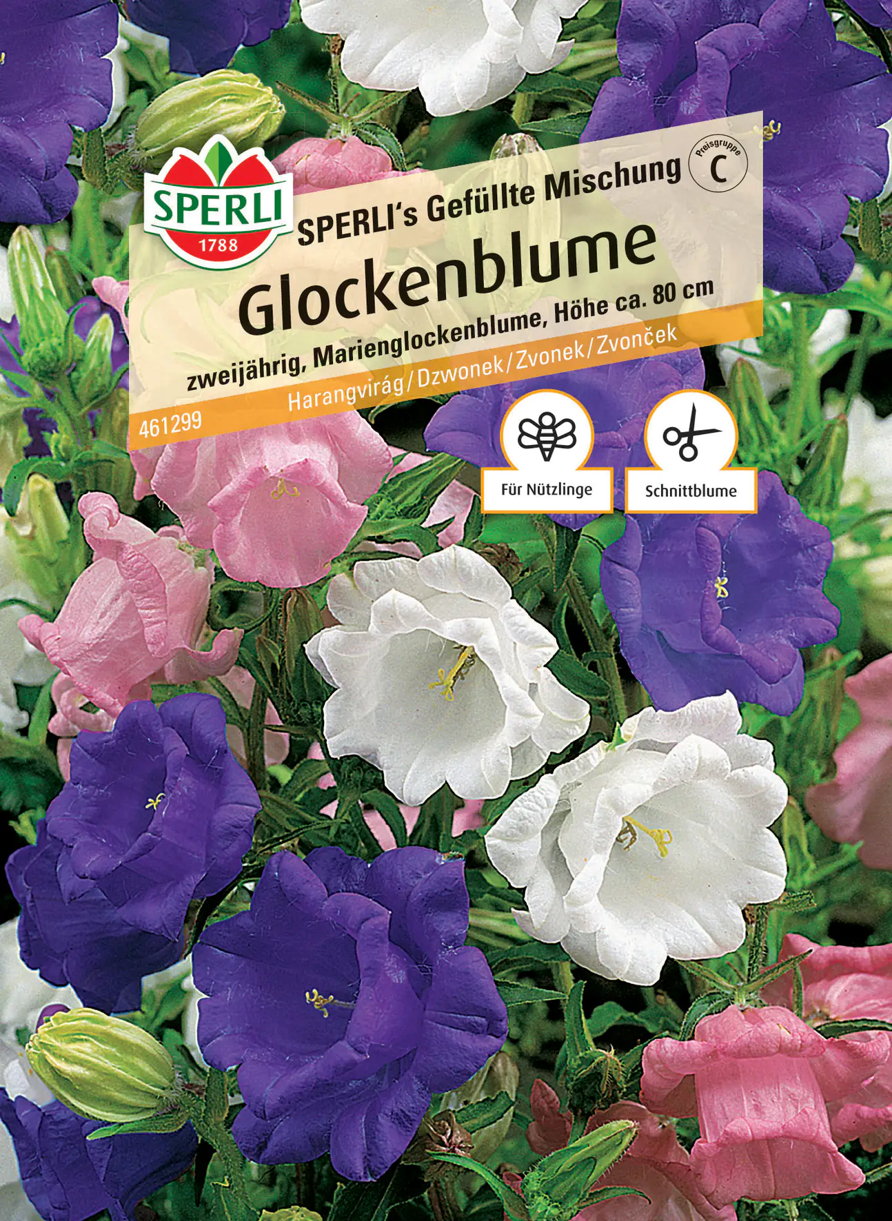 Sperli Glockenblume SPERLI's Gefüllte Mischung