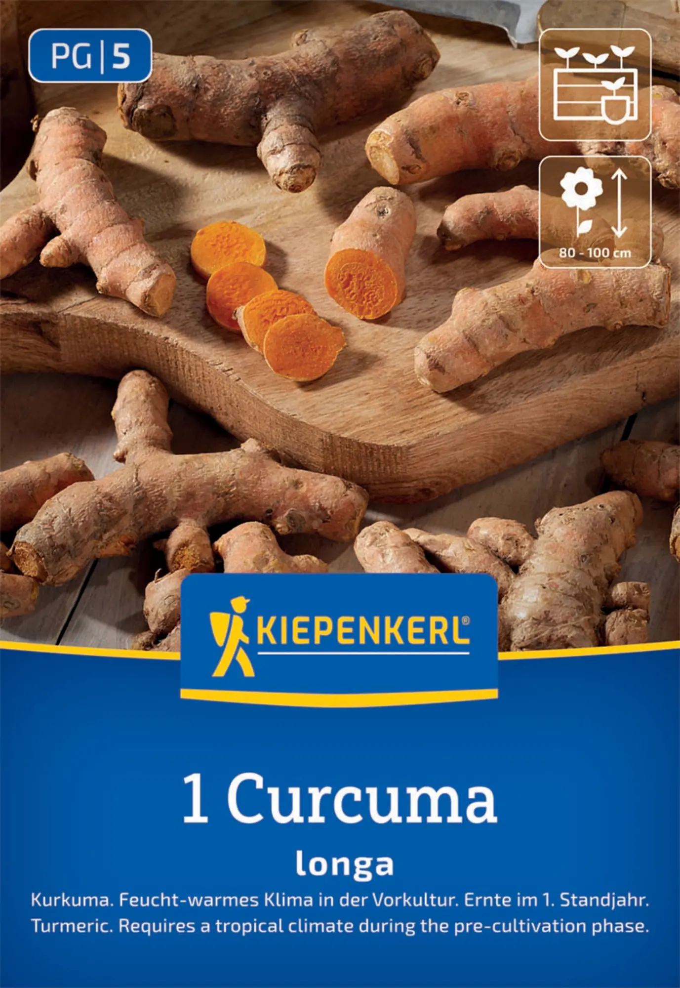 Kiepenkerl Pflanzgut Kurkuma Curcuma longa 1 Stück