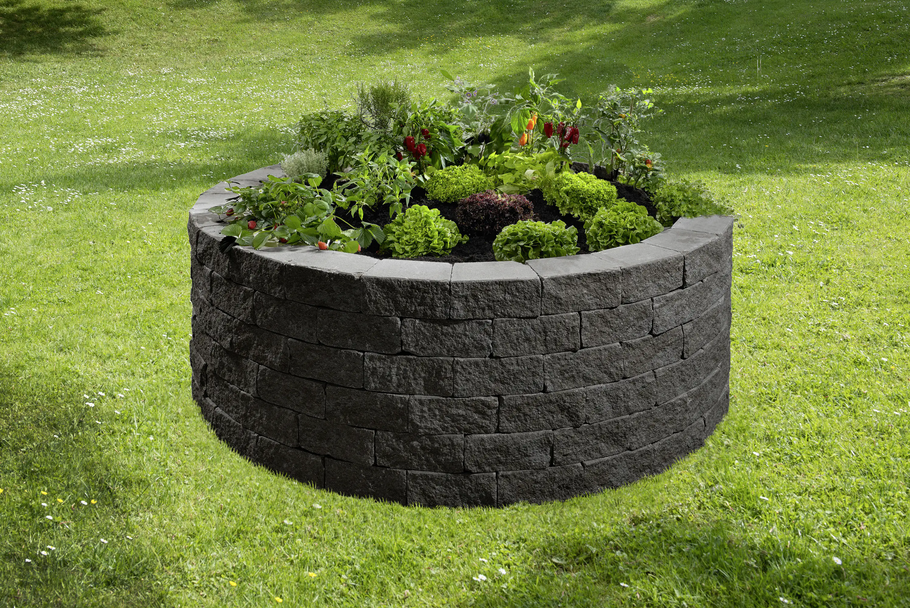 Kann Hochbeet-Set Vigneto-Rondell Ø 200 x 72 cm 72 cm anthrazit