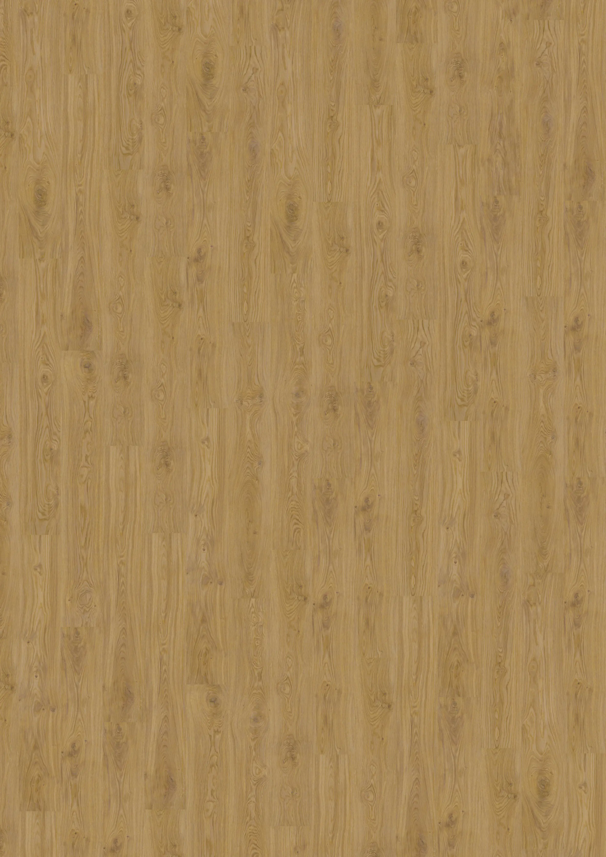 Decolife Vinylboden mit Trittschalldämmung Freestyle Acces Oak Nature