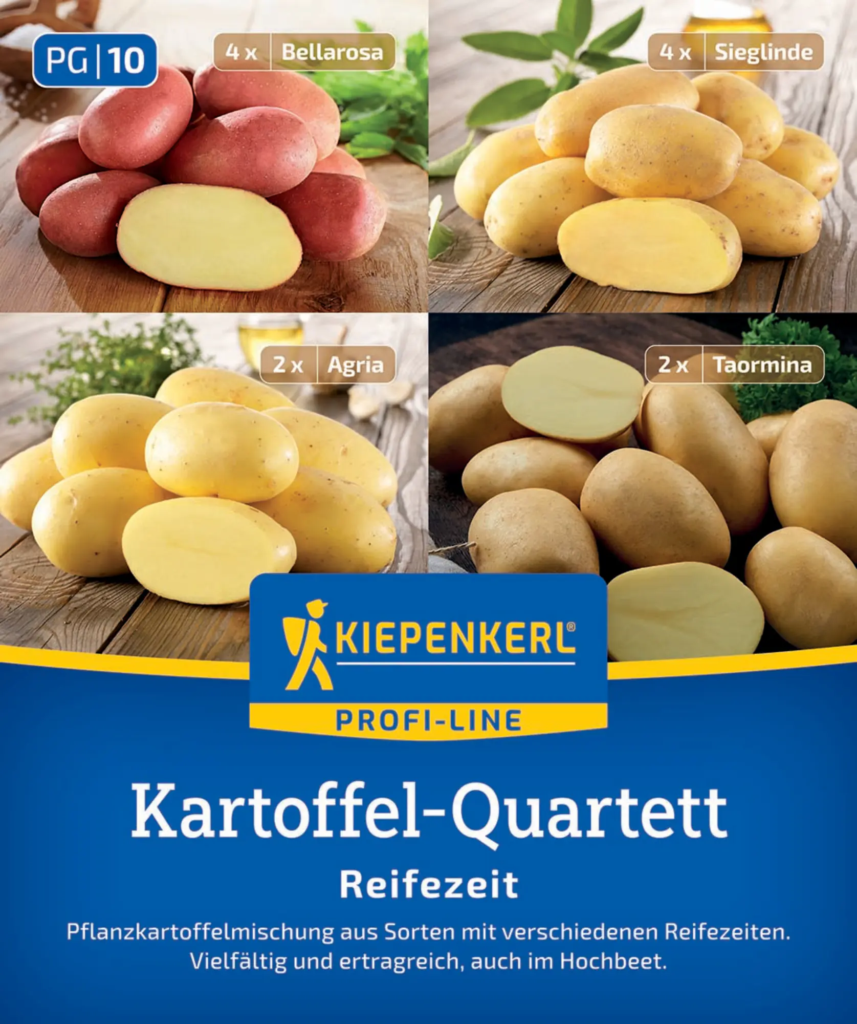 Kiepenkerl Pflanzkartoffel Quartett Mischungstüte  Erntezeit 12 Stück
