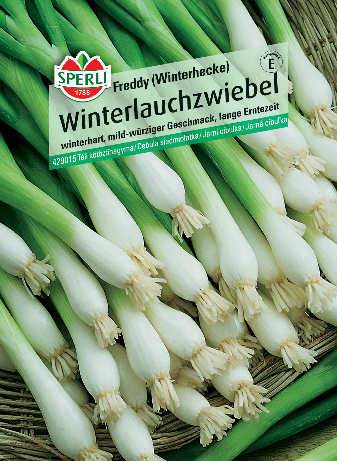 Sperli Winterlauchzwiebel Freddy (Winterheckenzwiebel)
