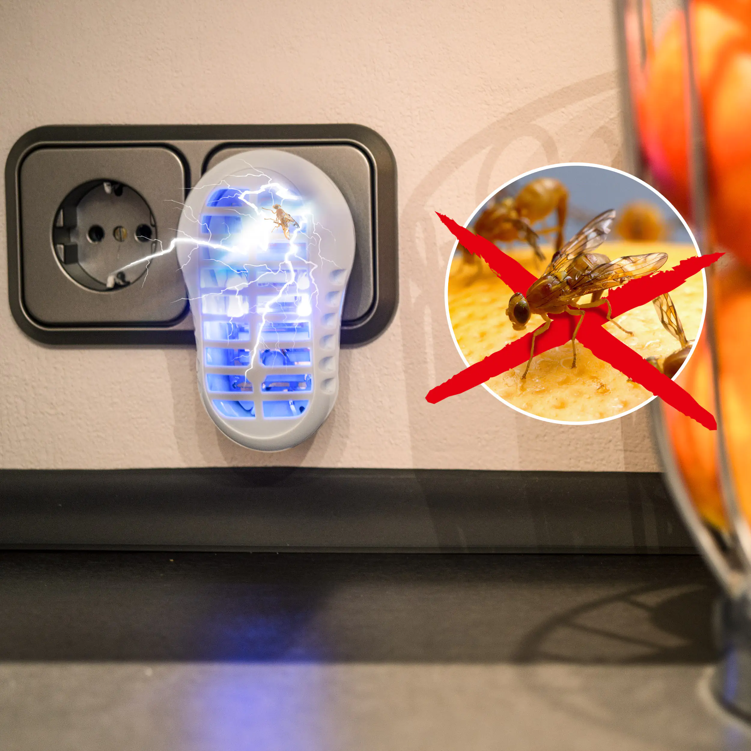 Gardigo Obstfliegen Vernichter direkt aus der Steckdose, Insektenvernichter