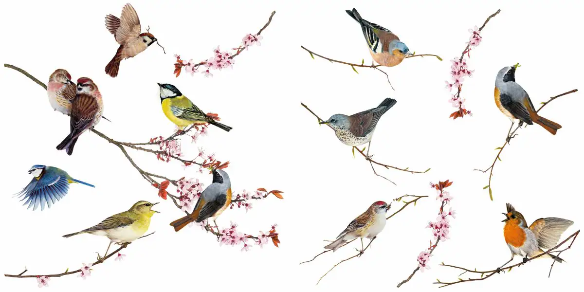 4036834160036 Komar Windowsticker Birds 31 x 31 cm