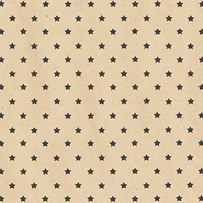 Braun & Company Servietten Motiv By Nature Etoiles 33 x 33 cm - 20er Pack