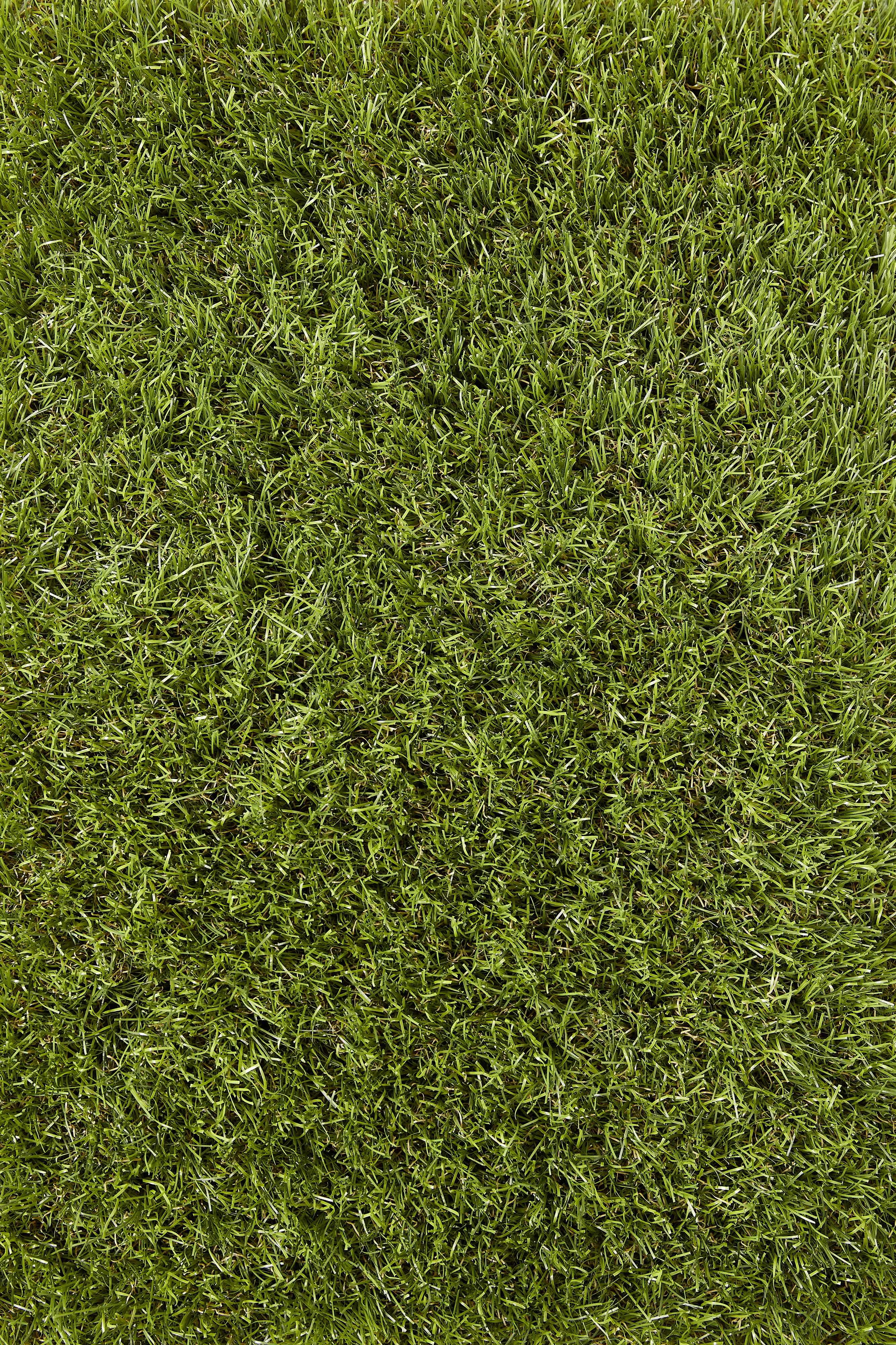 Kunstrasen Adelaide grün 2 m breit (Meterware)