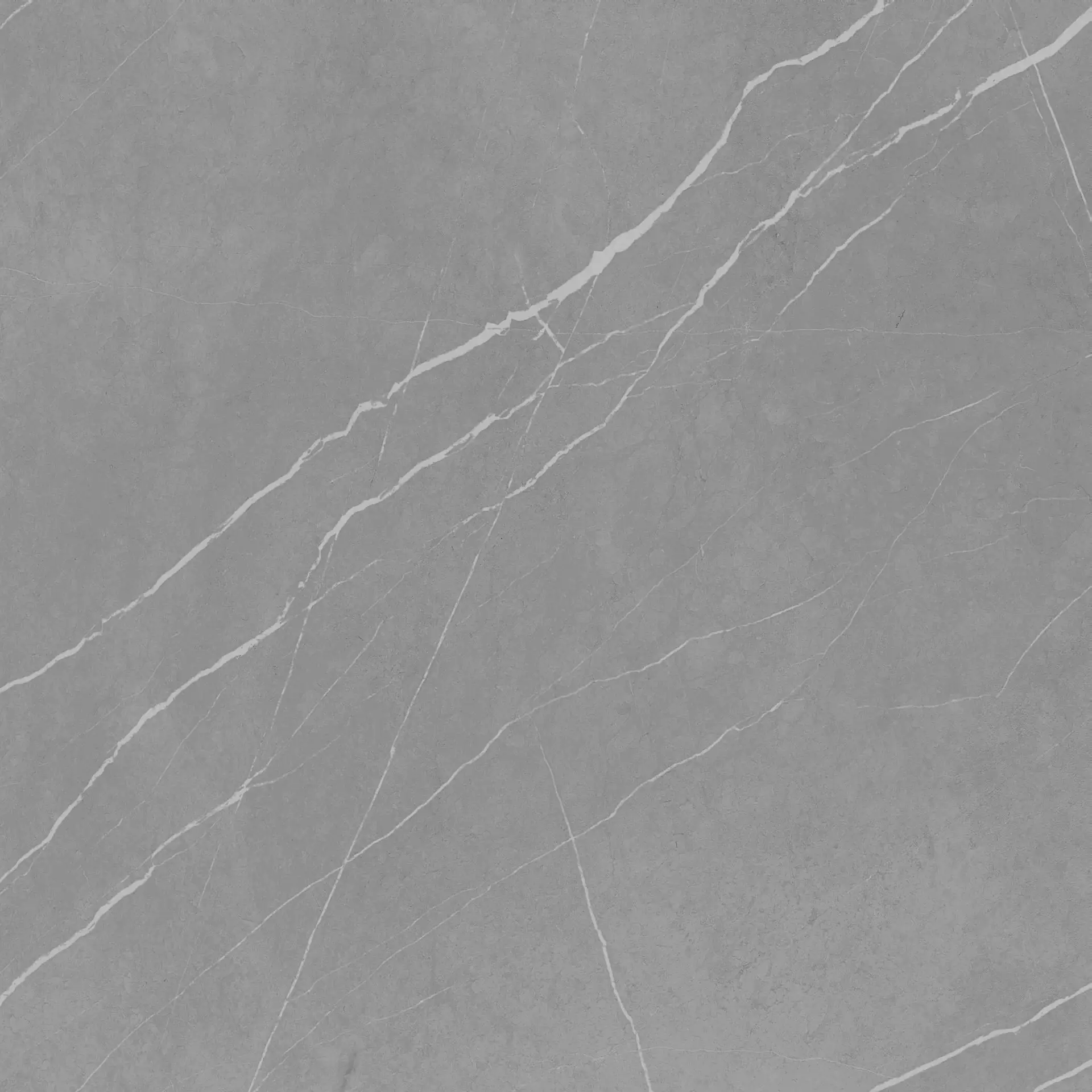 Bodenfliese Feinsteinzeug Navas 60 x 60 cm dunkelgrau