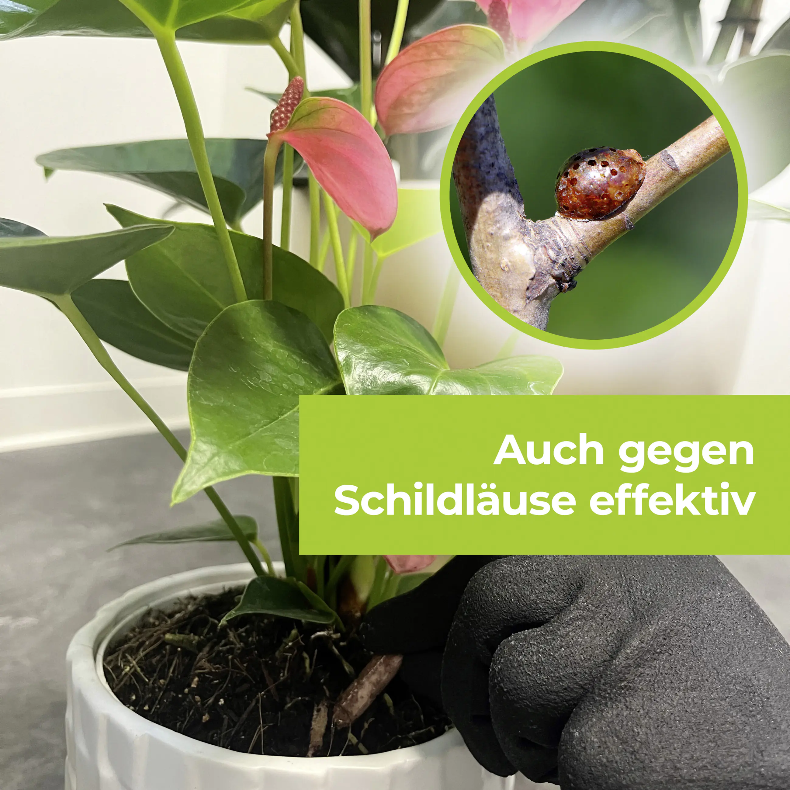 Protect Garden Lizetan Plus Combistäbchen 20 Stück Protect Garden Lizetan Plus Combistäbchen 20 Stück