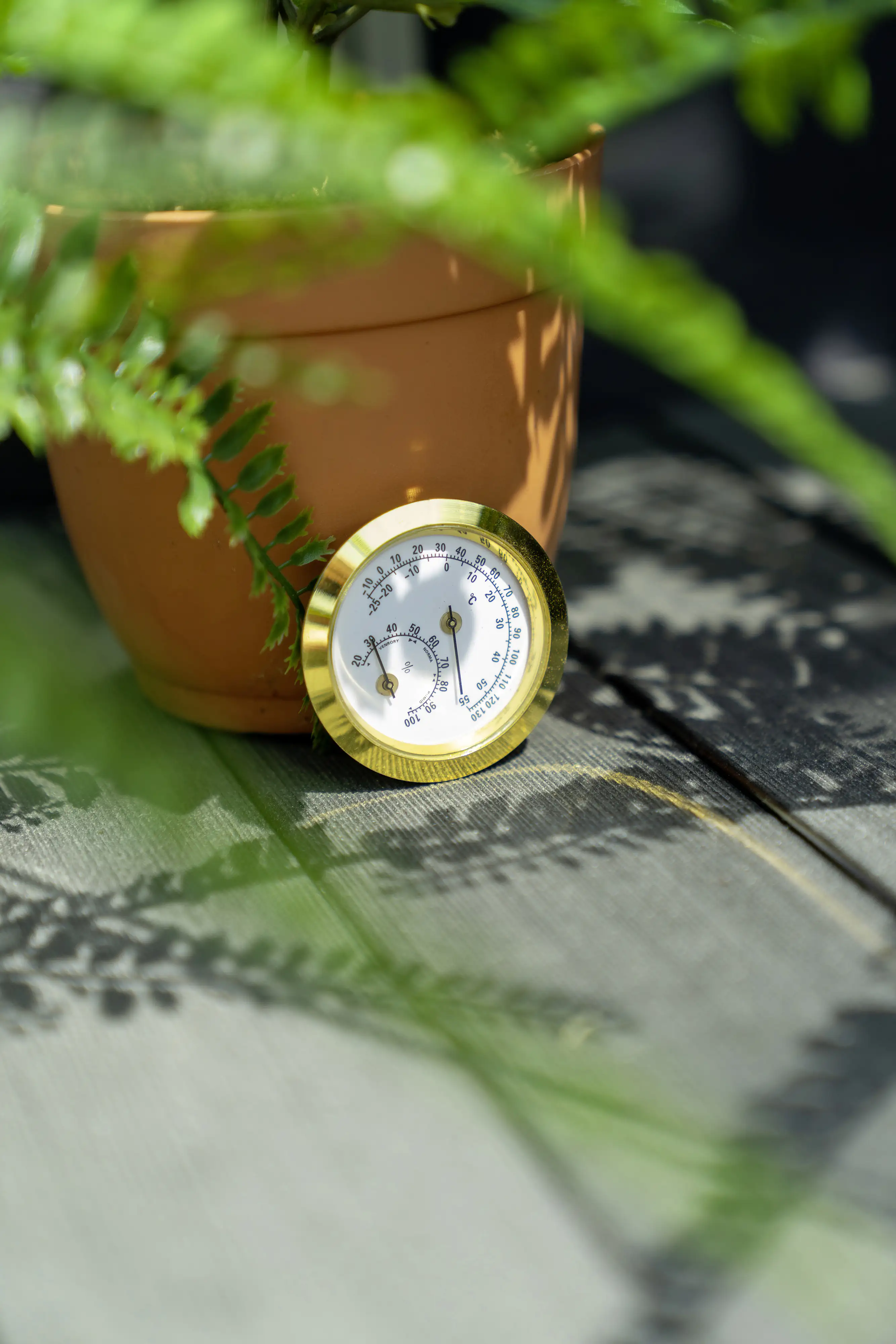 Vitavia Hygrometer Vitavia Hygrometer