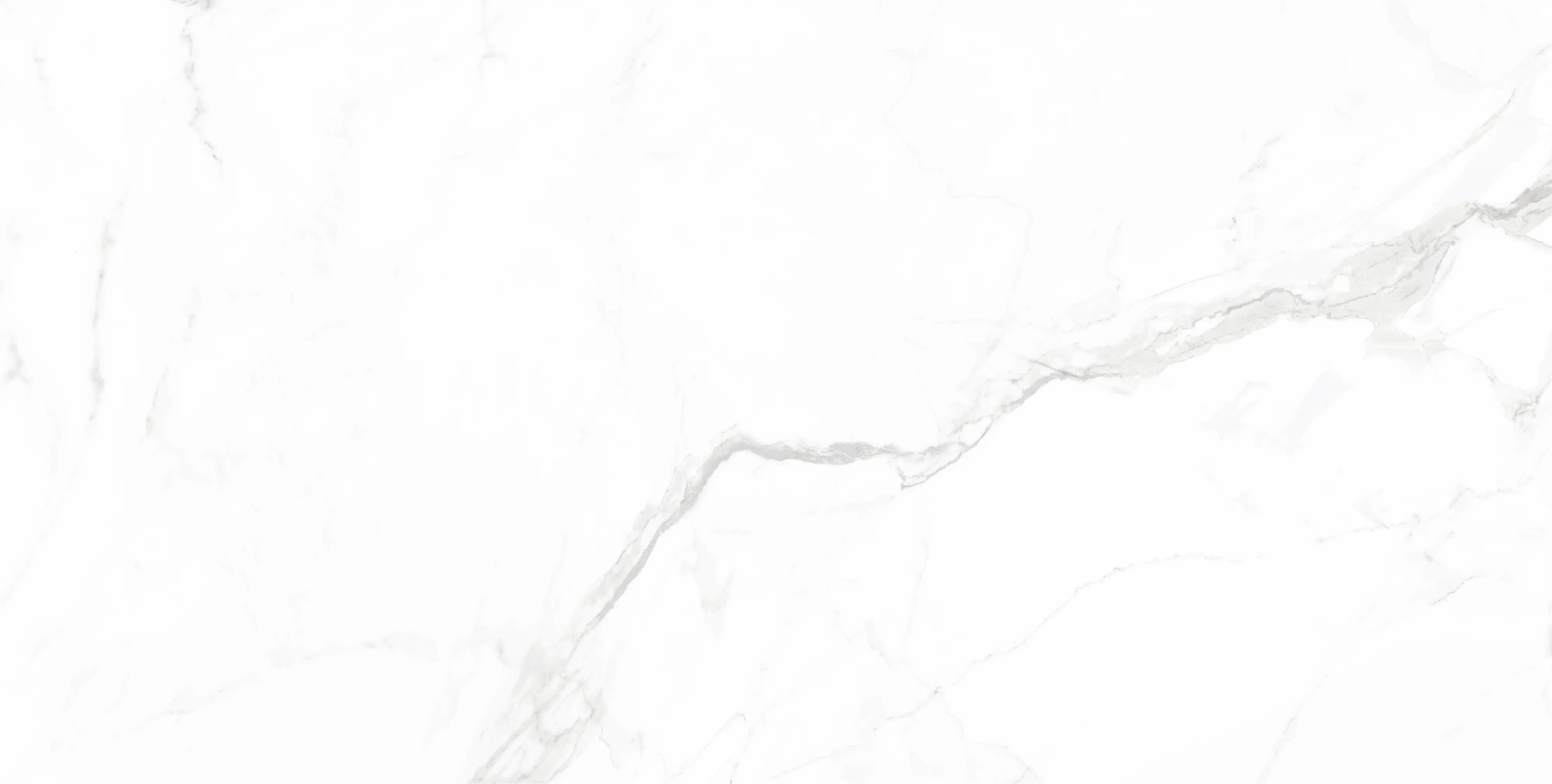 Bodenfliese Feinsteinzeug Opus 60 x 120 cm white
