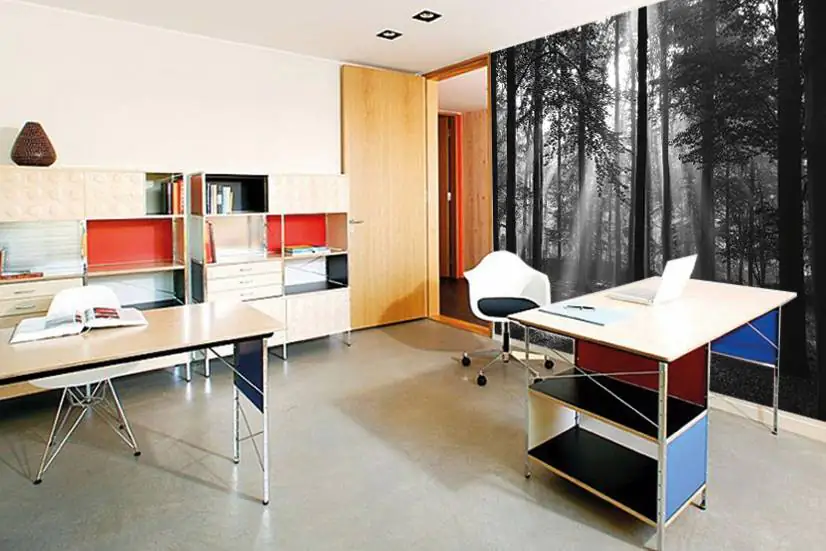 papermoon Vlies- Fototapete Digitaldruck 350 x 260 cm Forrest morning in black & white