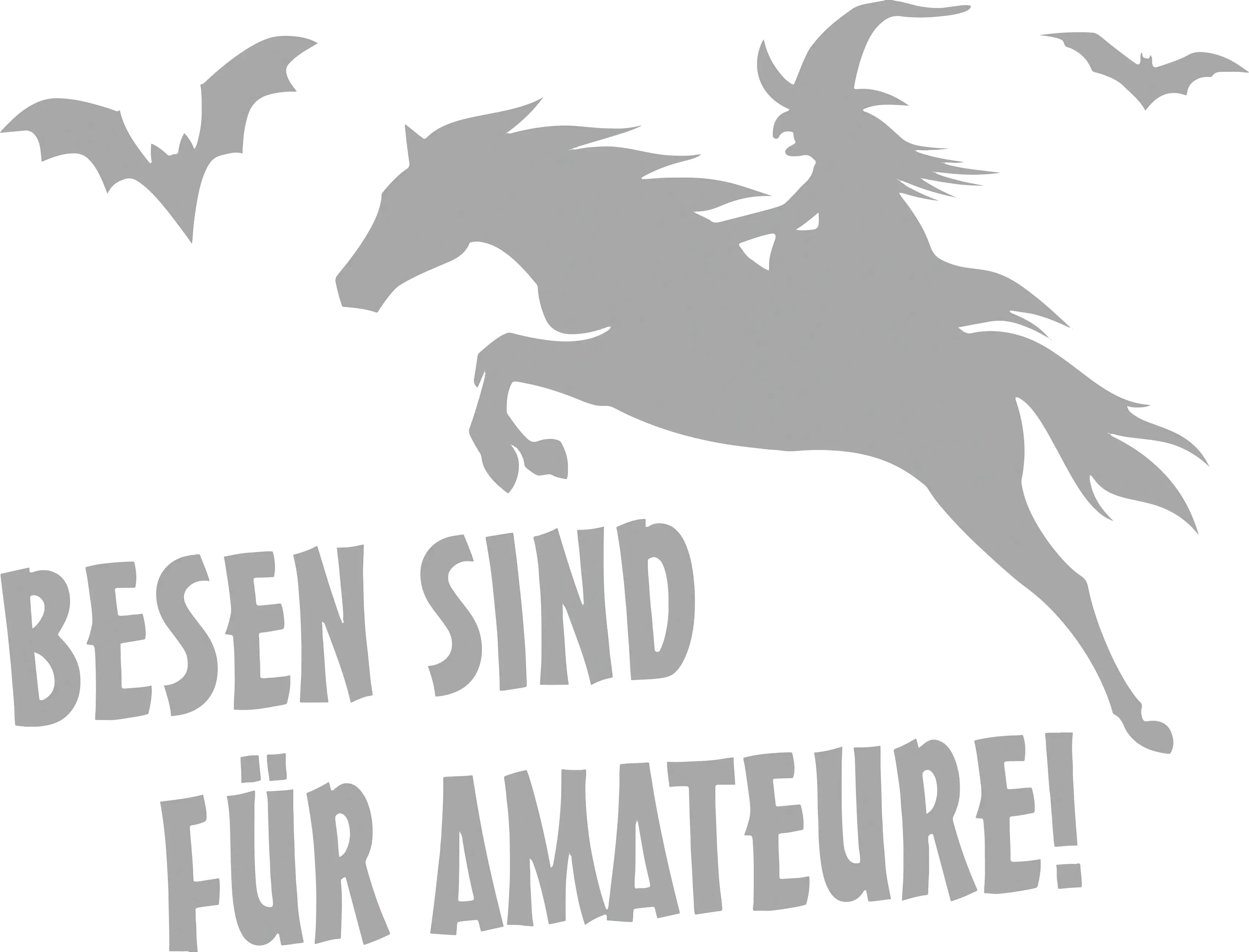 Hermann Schütz Aufkleber Pferd Besen sind für Amateure Hermann Schütz Aufkleber Pferd Besen sind für Amateure