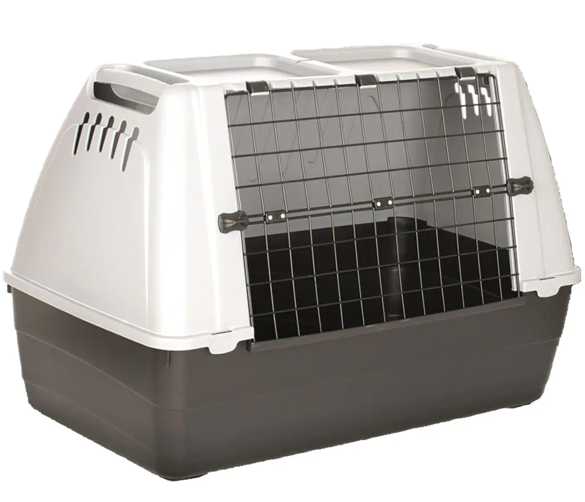 Nobby Autobox Skudo Car grau