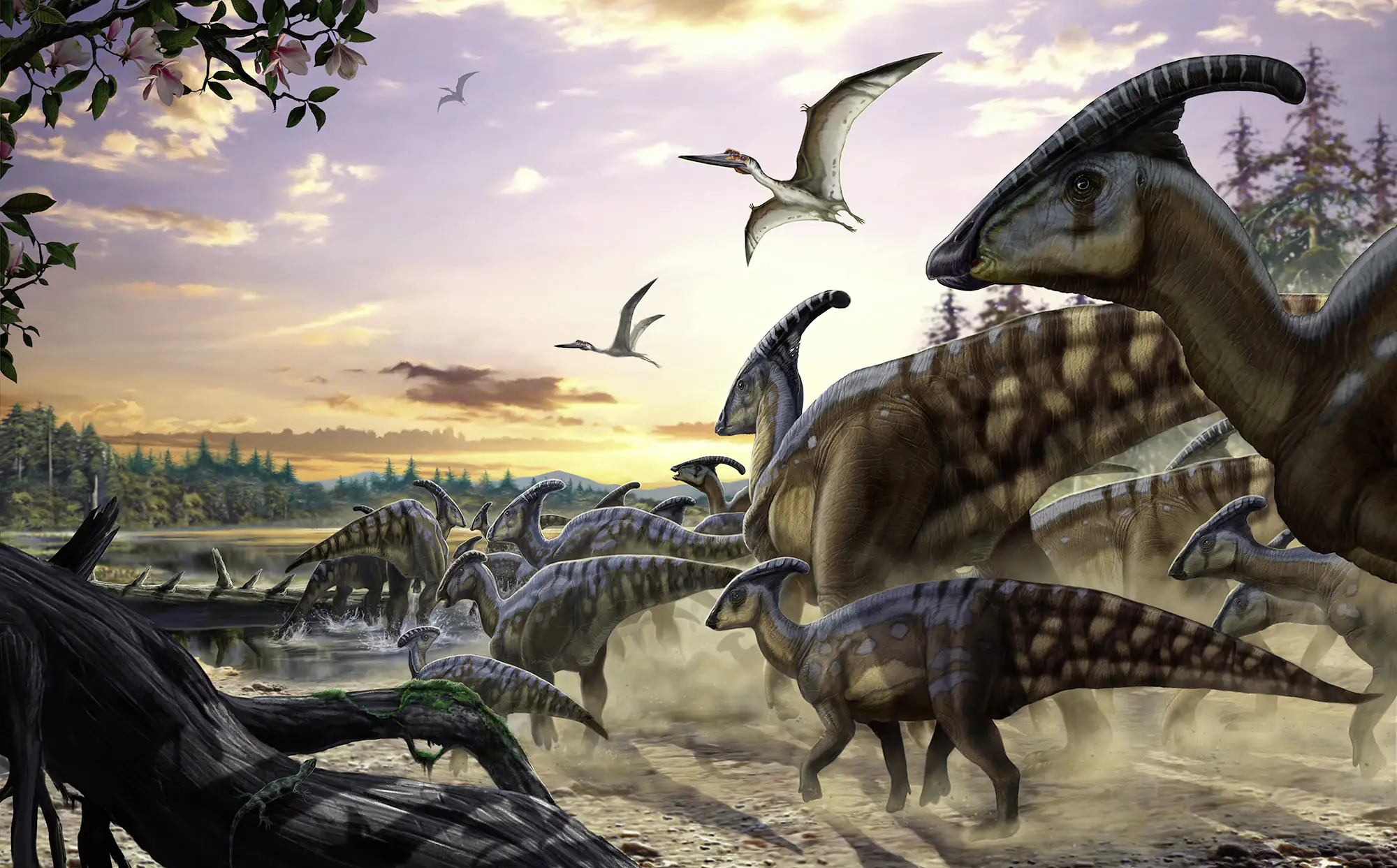 Komar Vlies Fototapete Parasaurolophus Her 450 x 280 cm 